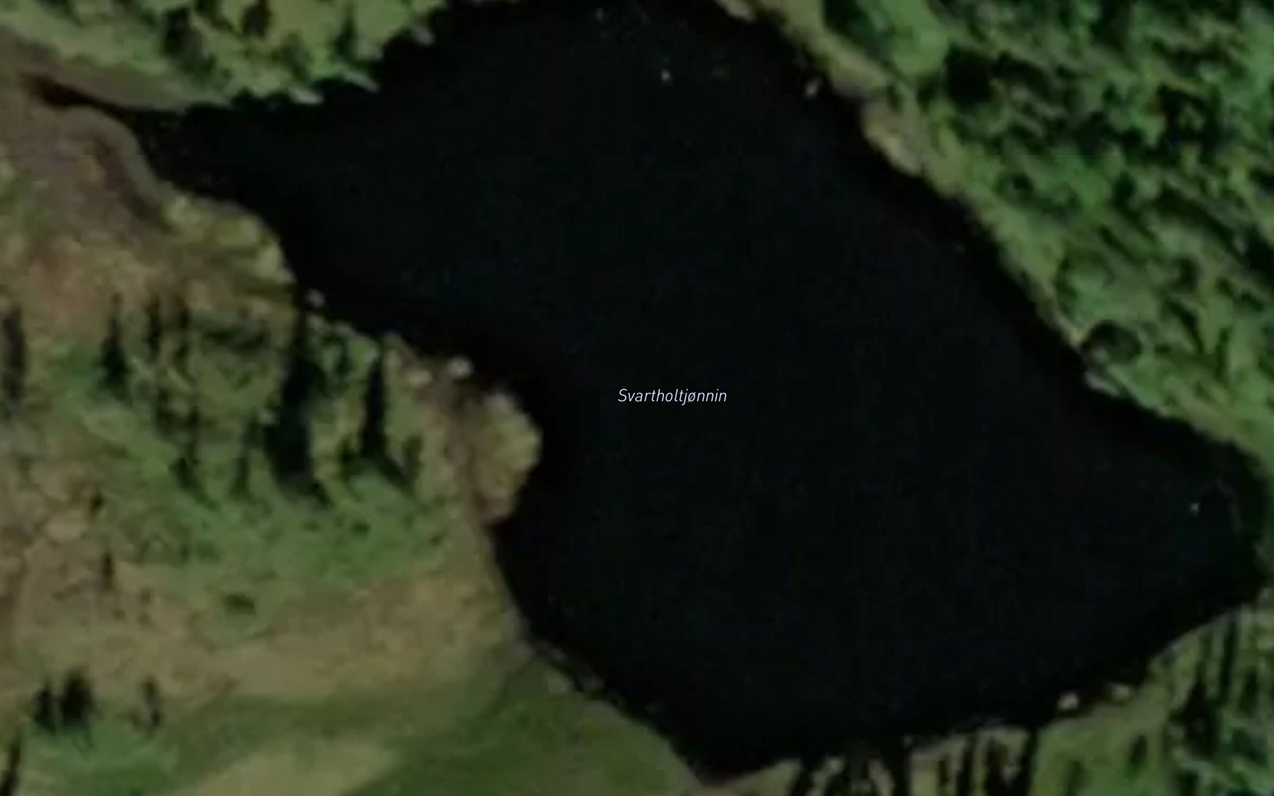 Svartholtjonnin