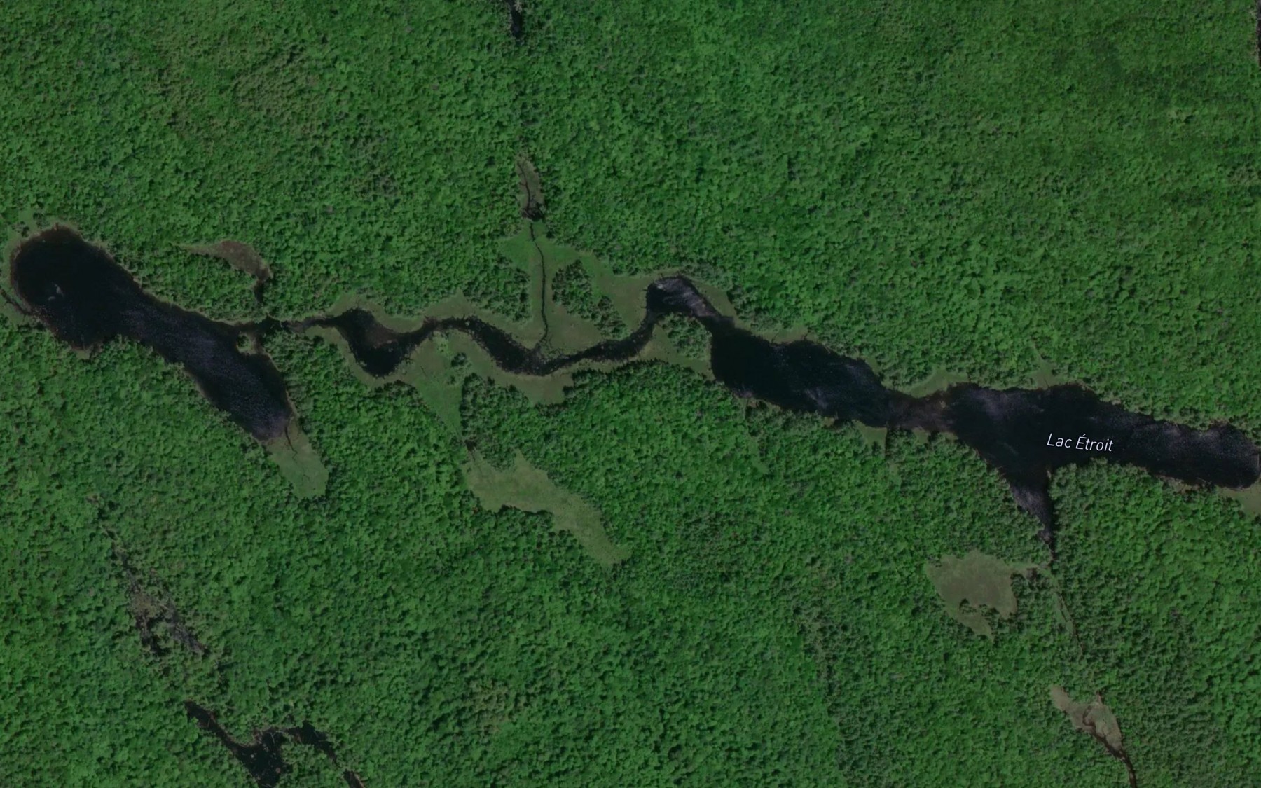 Satellite map of the Lac Etroit