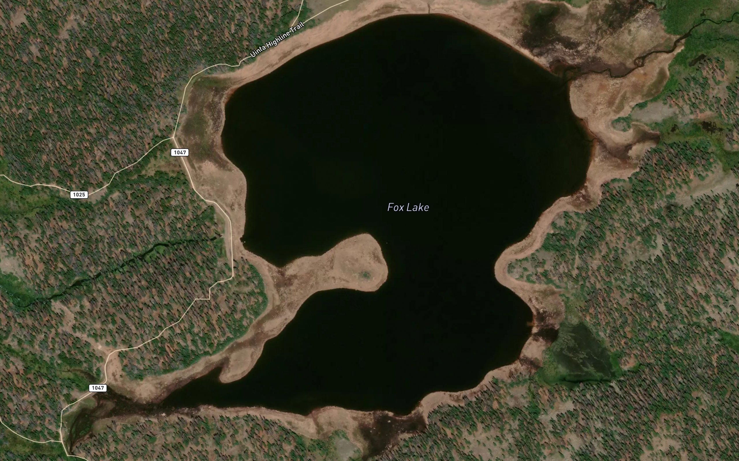 Fox Lake