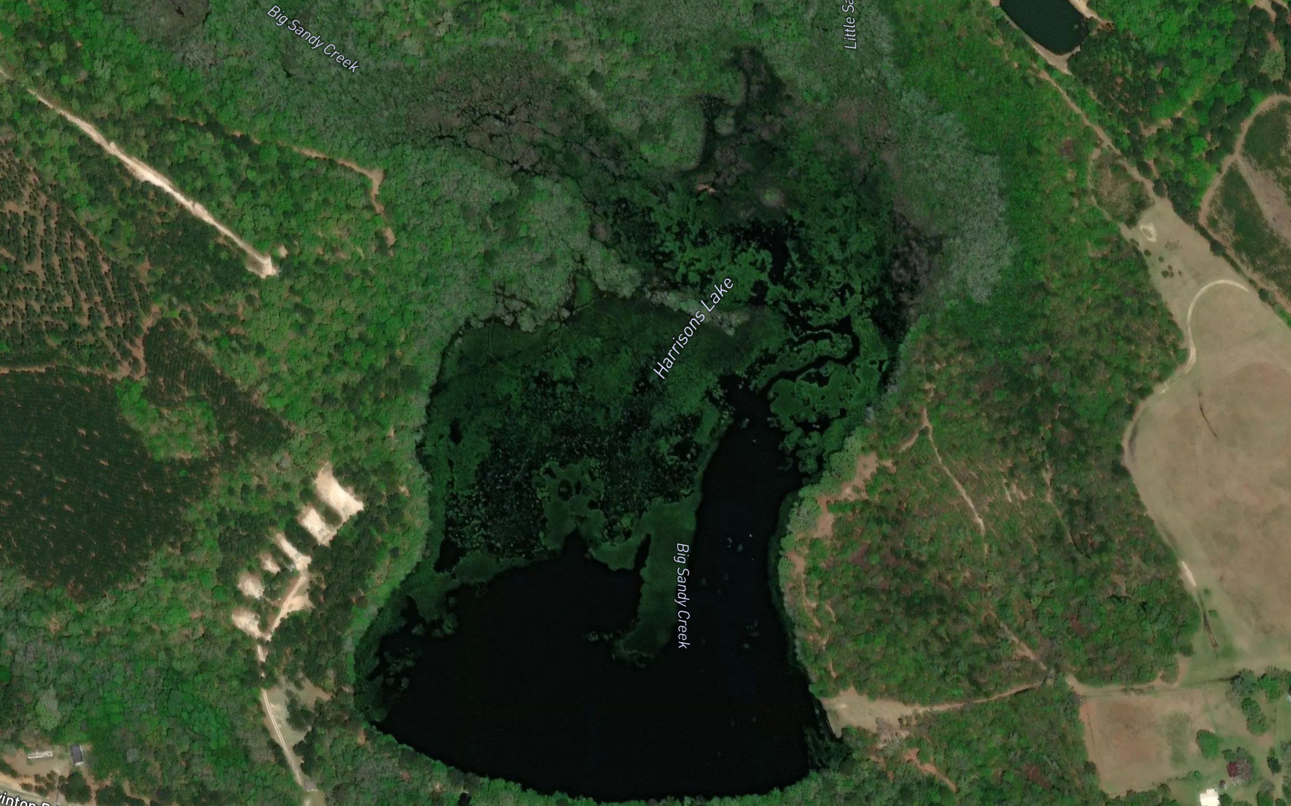Harrisons Lake