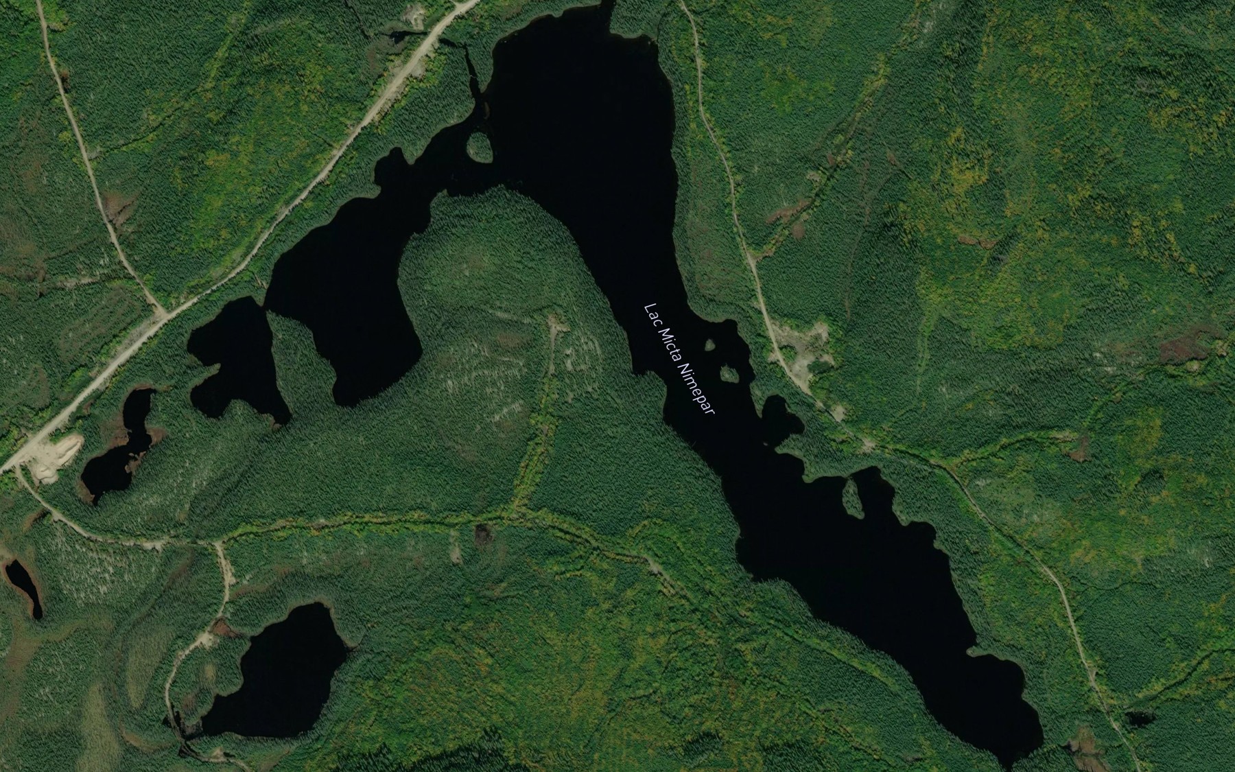 Satellite map of the Lac Micta Nimepar
