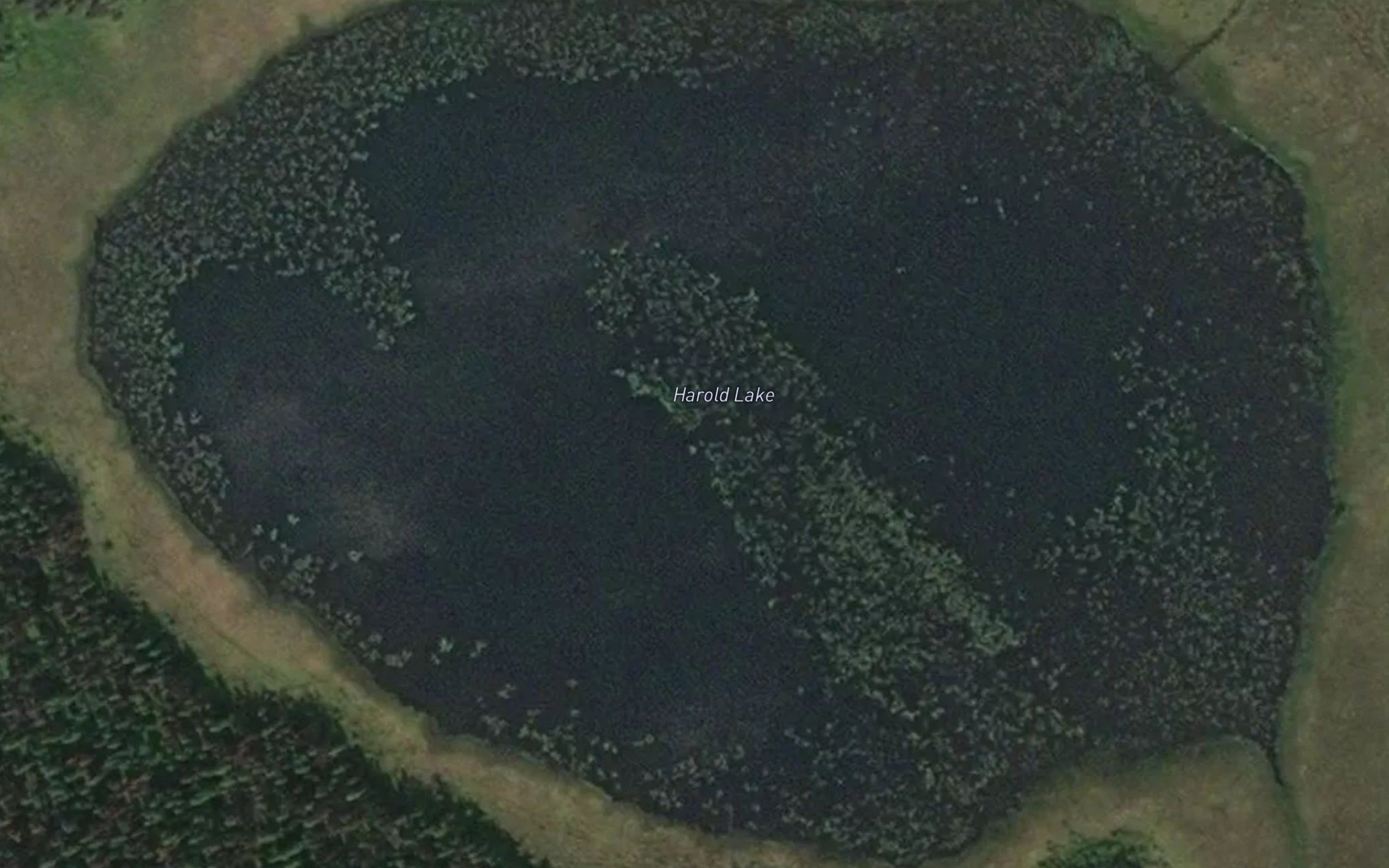 Harold Lake