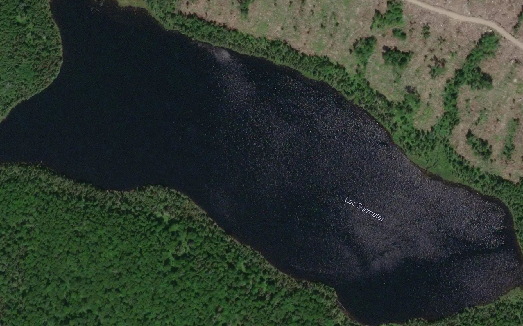 Satellite map of the Lac Surmulot