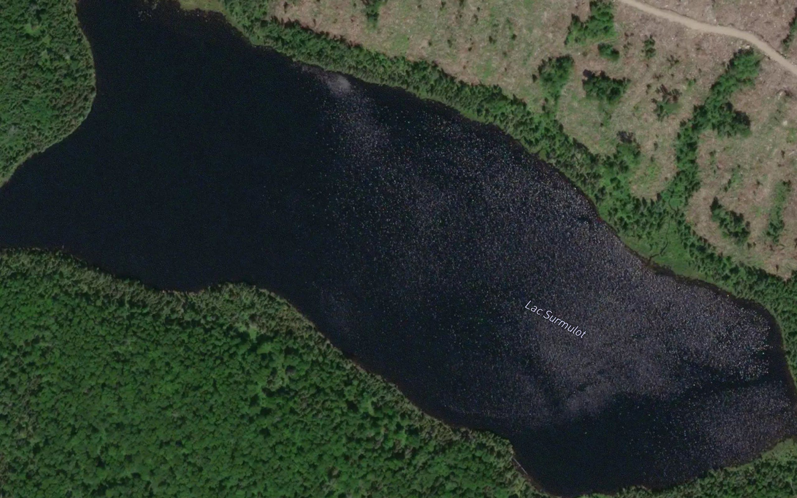 Lac Surmulot