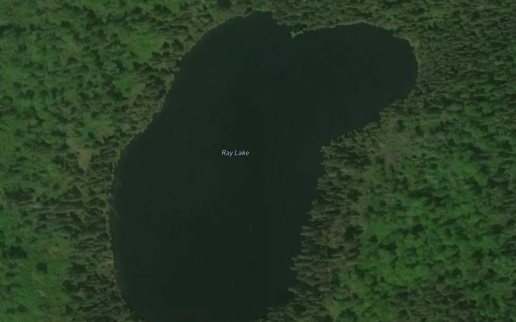 Satellite map of the Ray Lake