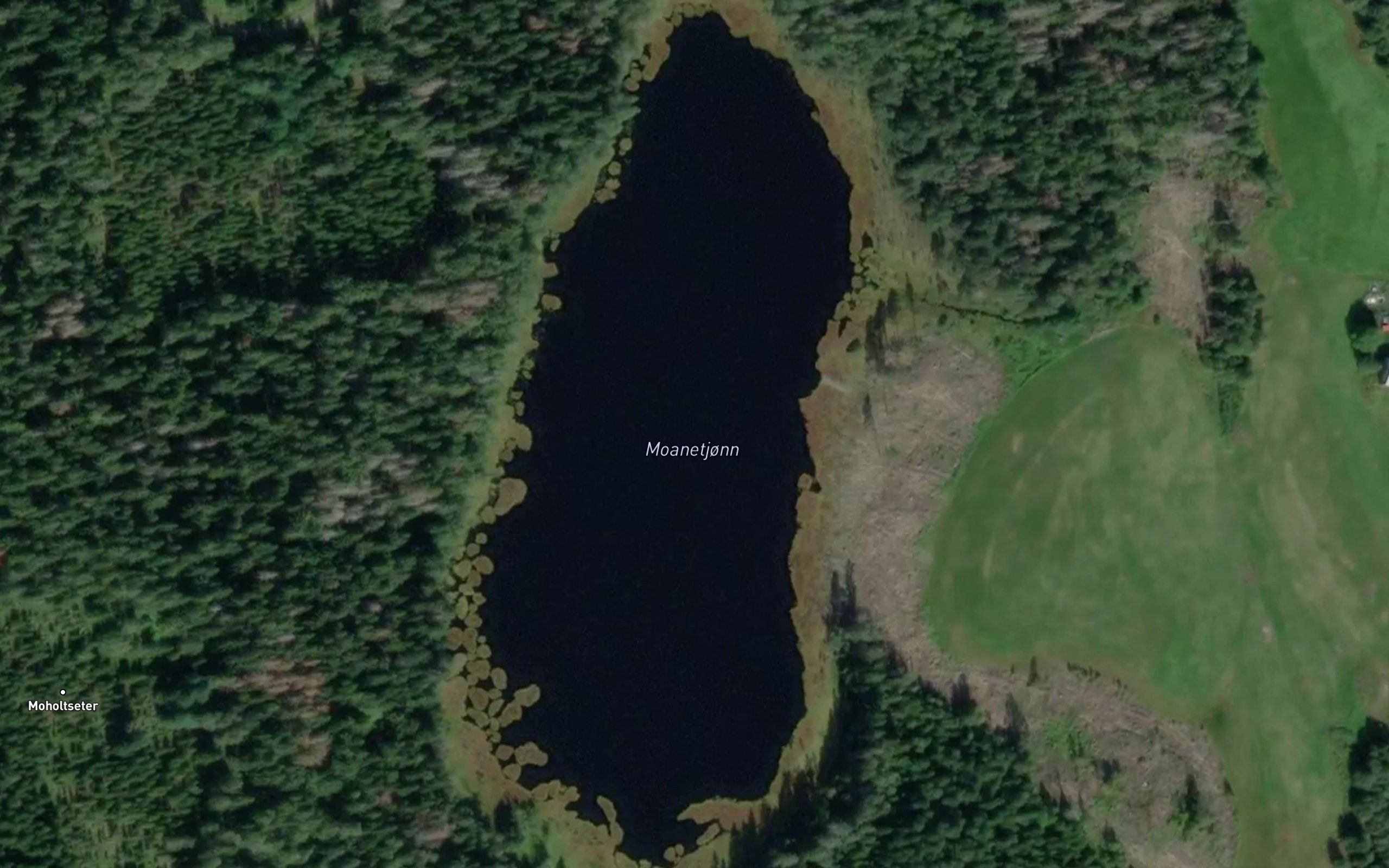 Moanetjernet