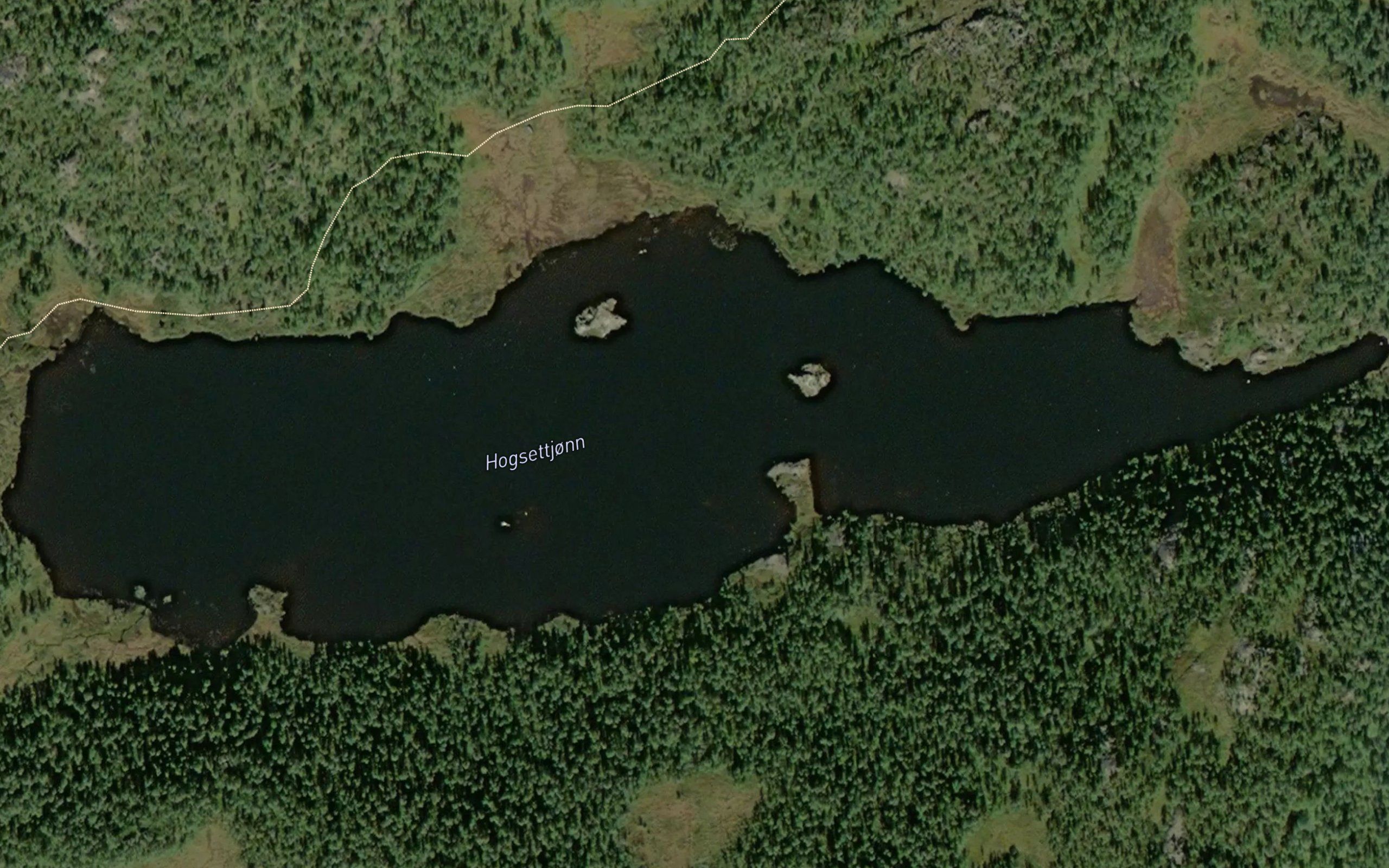 Hogsettjonn