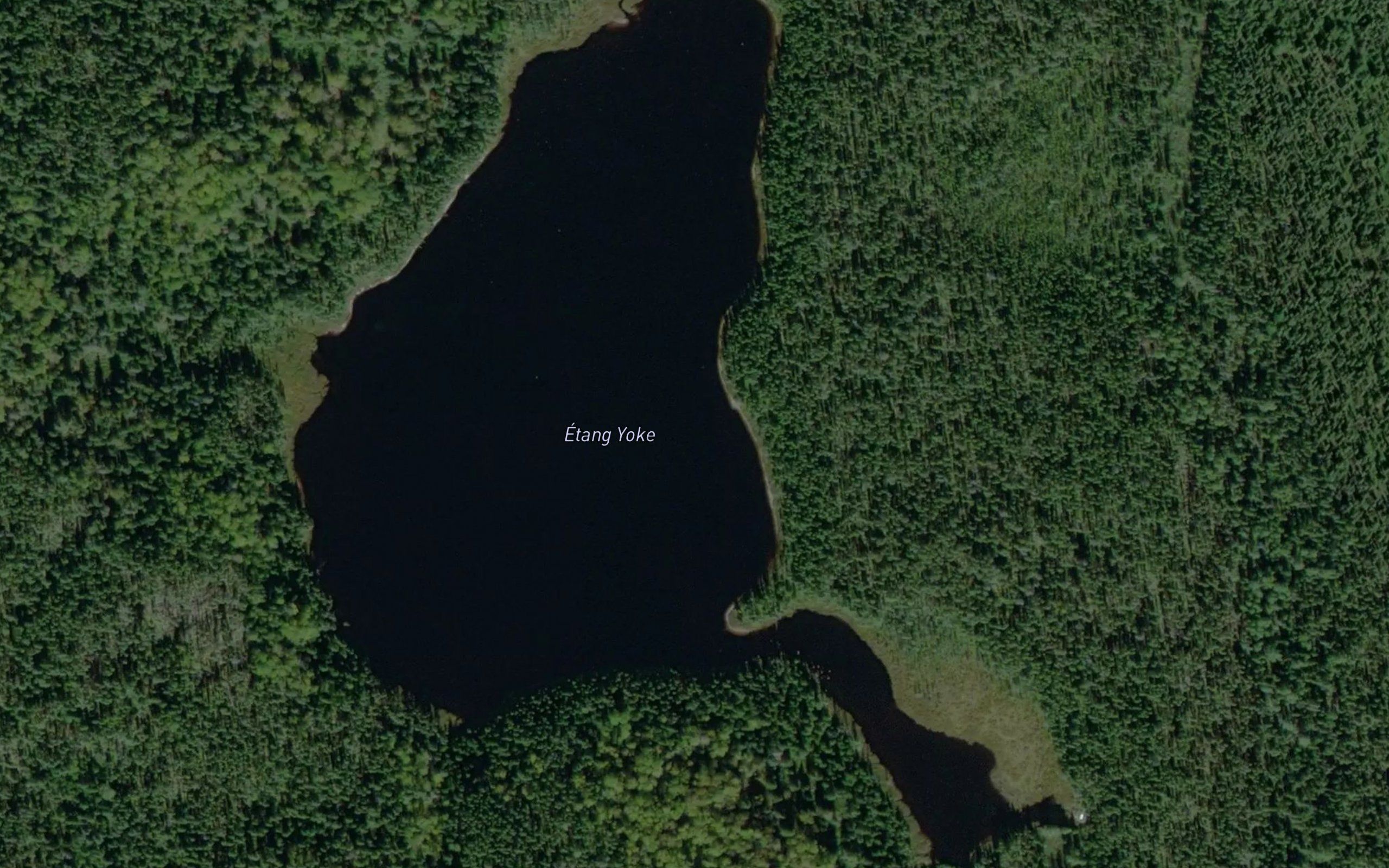 Etang Yoke