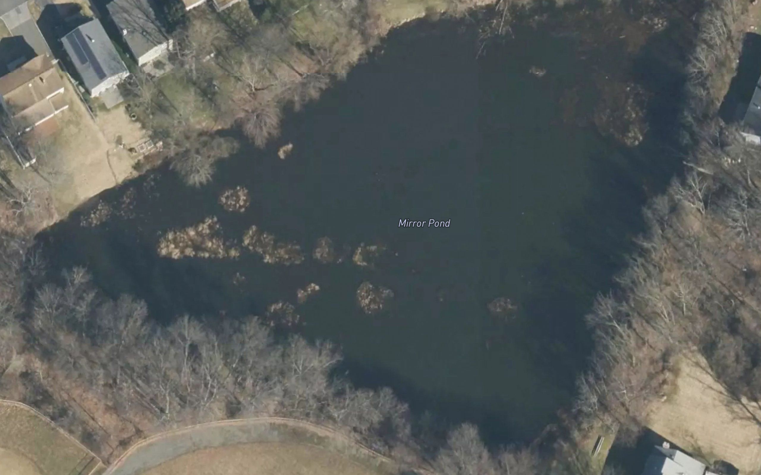 Mirror Pond