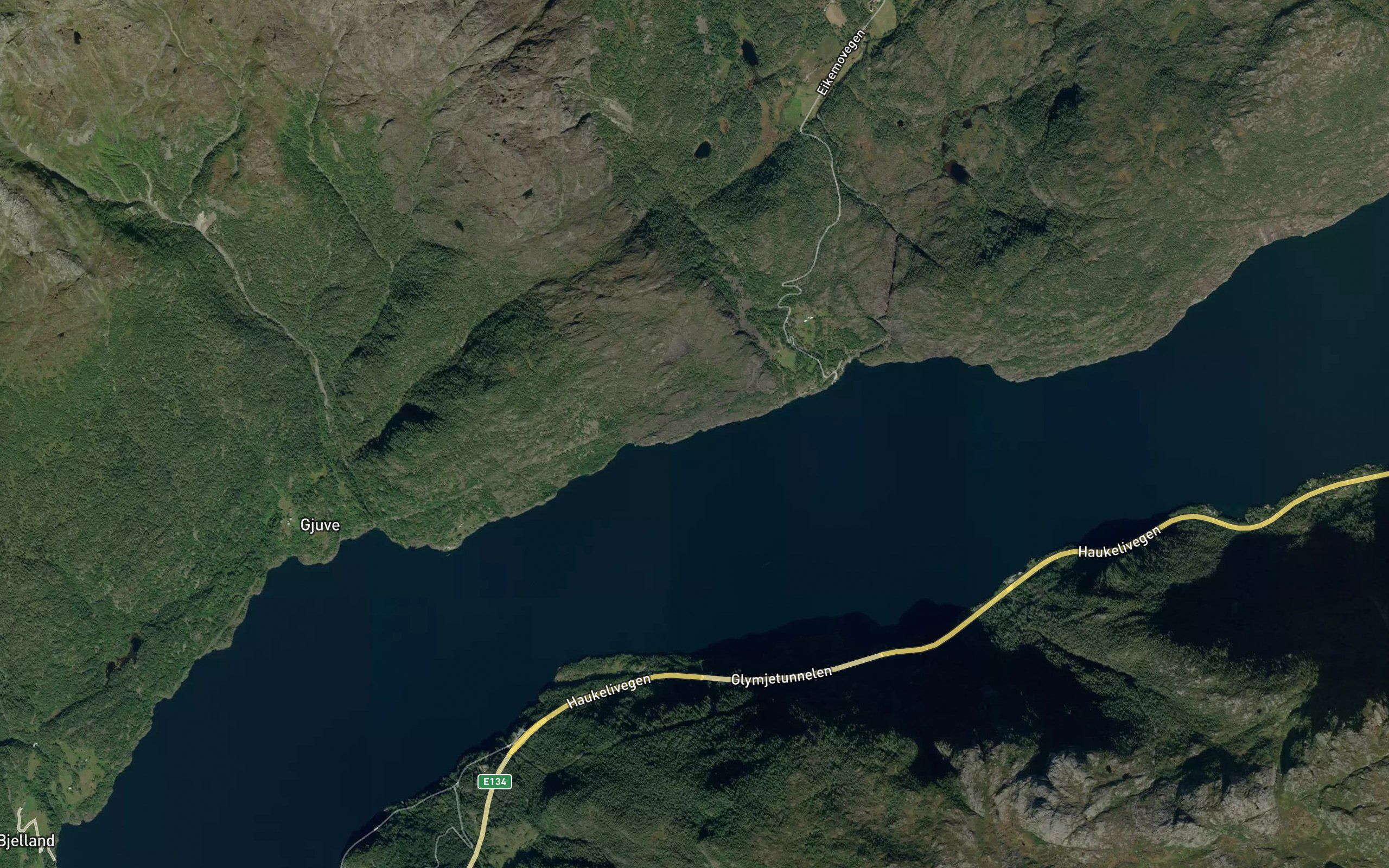 Piksadrogsvika