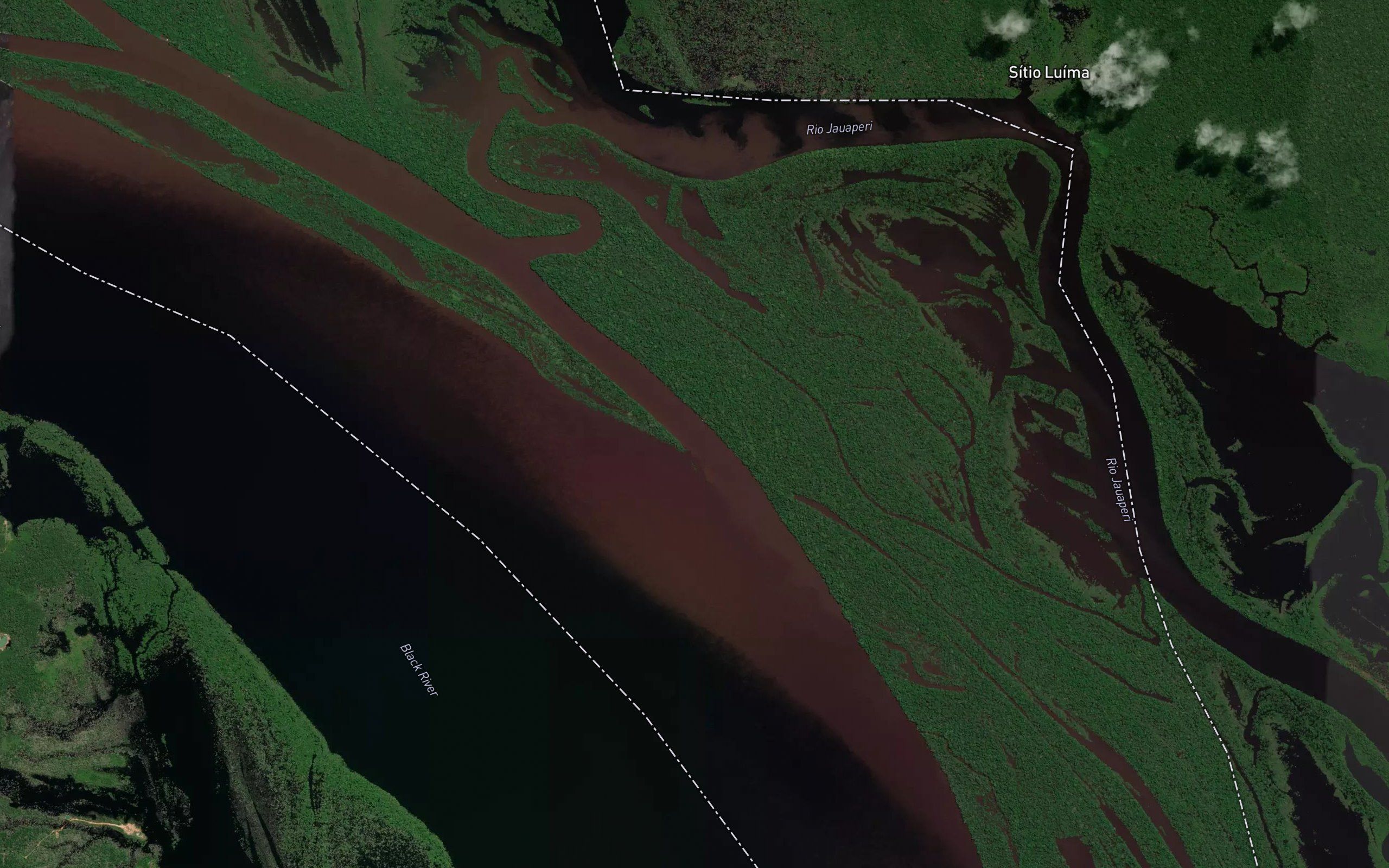 Parana Floresta