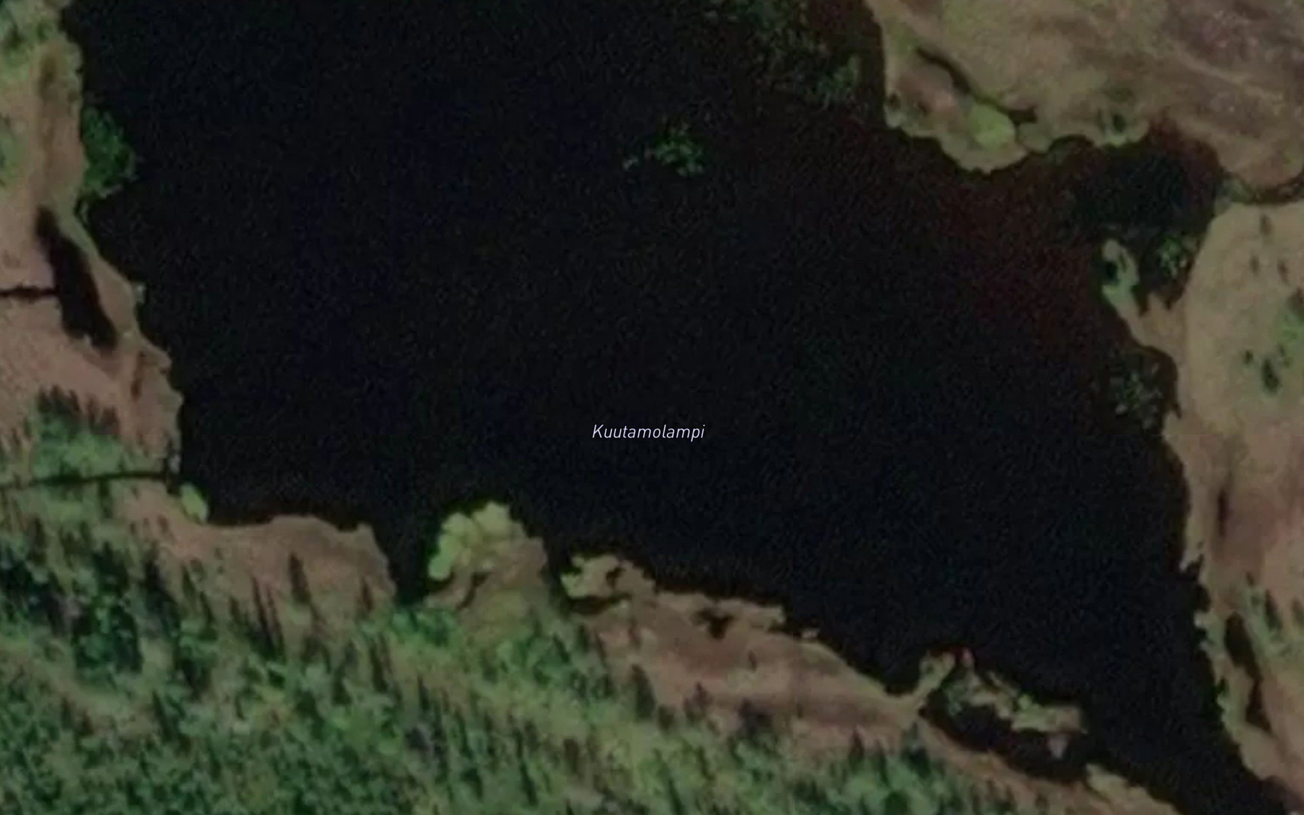 Kuutamolampi
