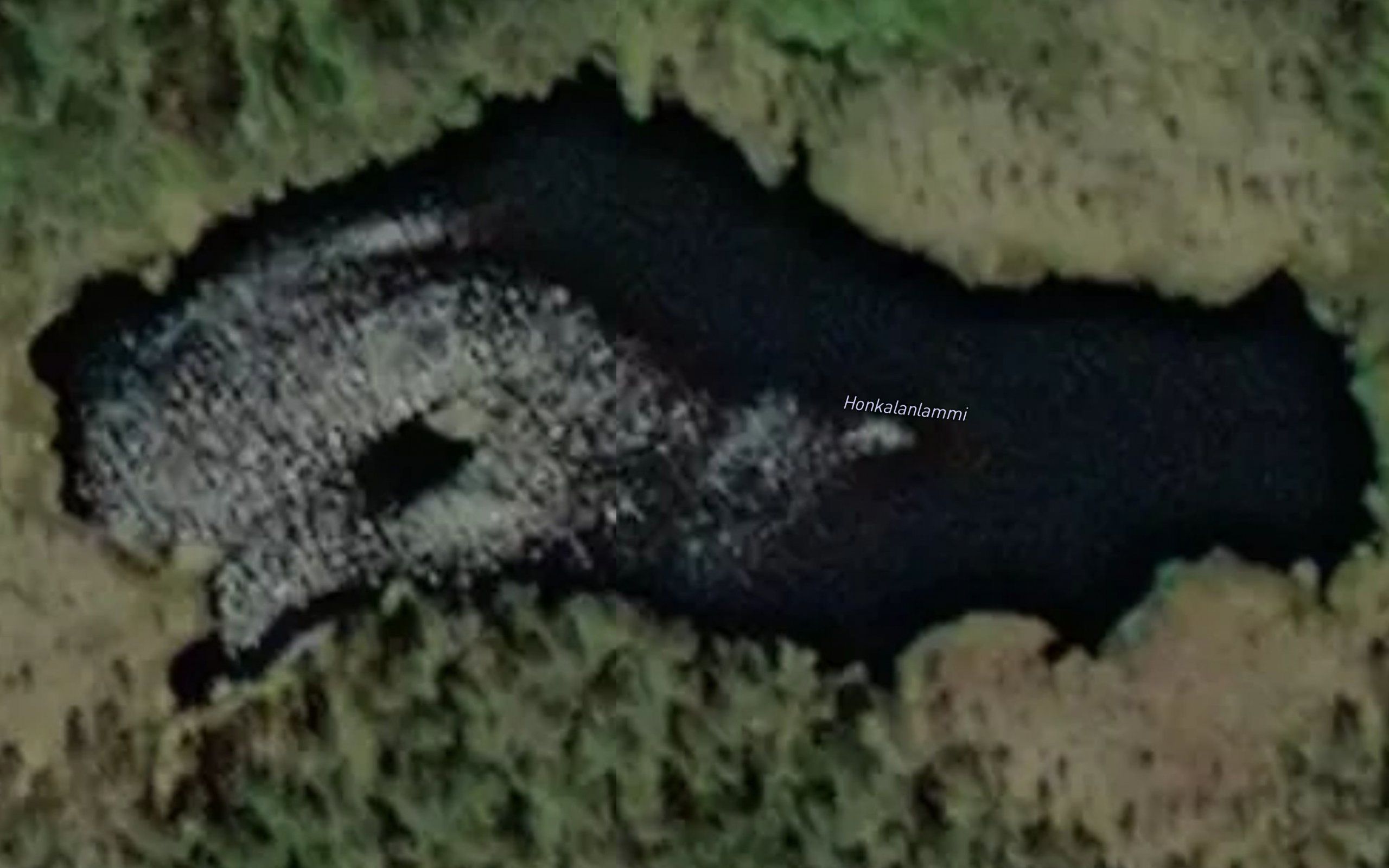 Honkalanlammi