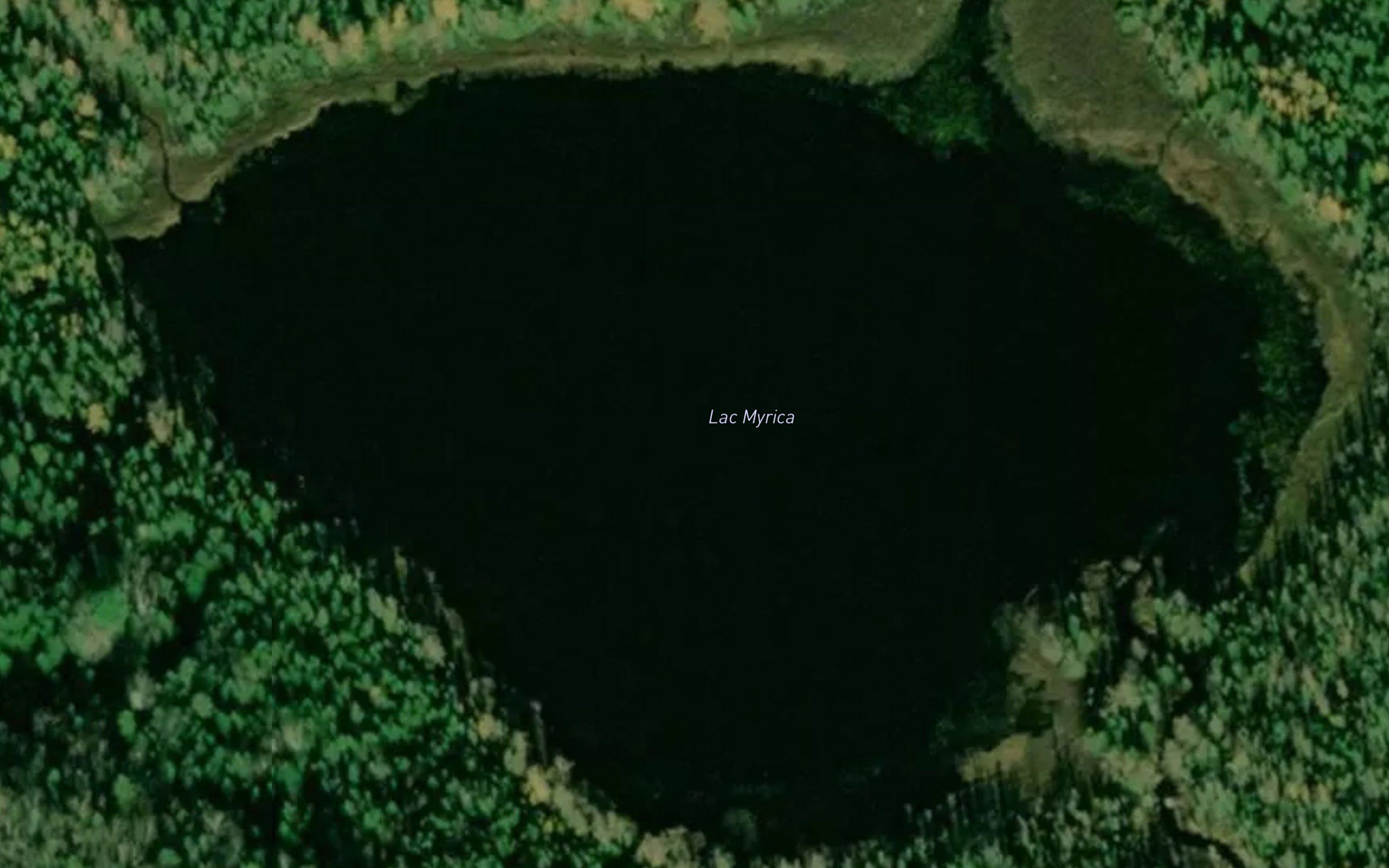 Lac Myrica