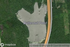 Butternut Pond