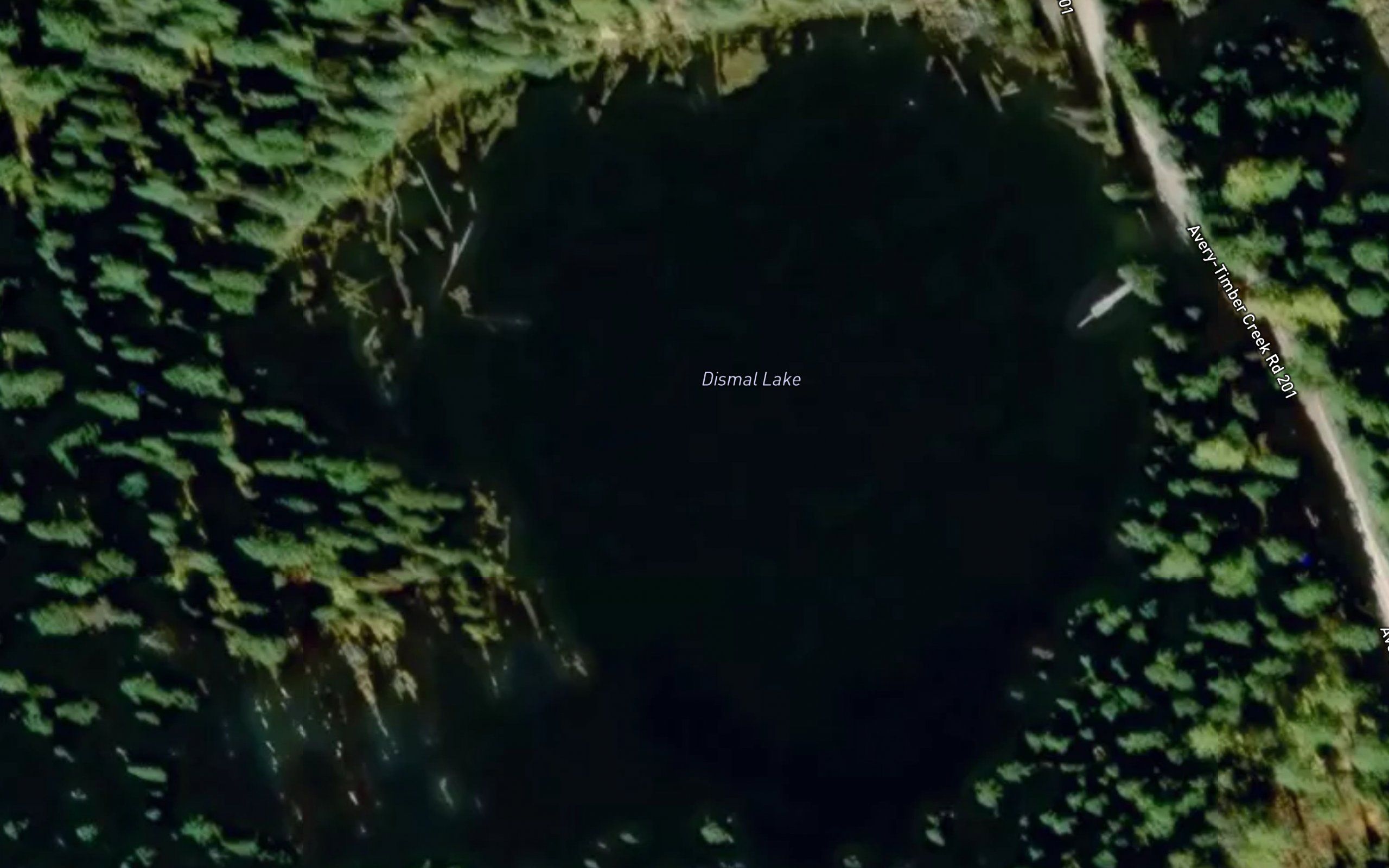 Dismal Lake