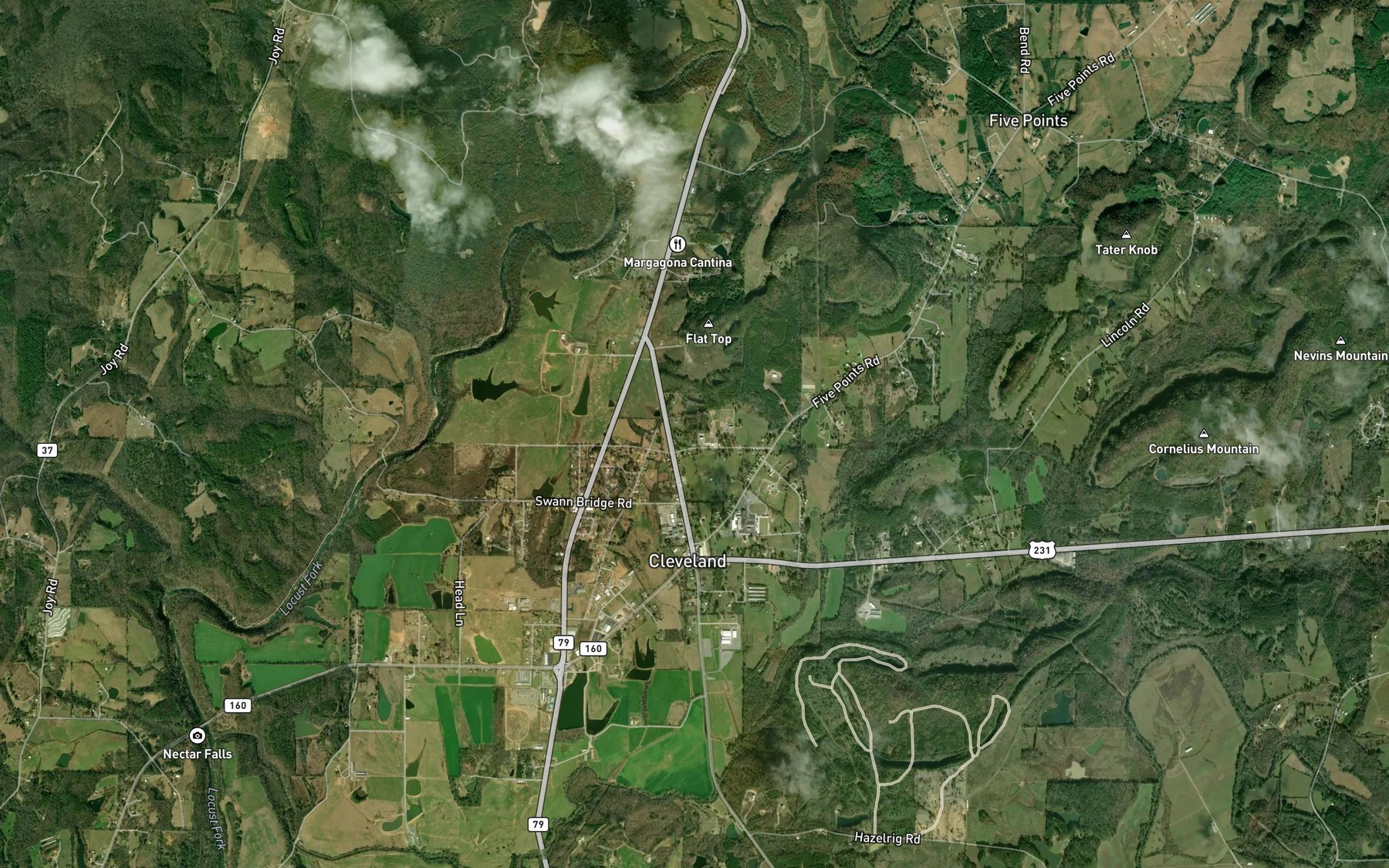 Satellite map of the Whitmire Ponds