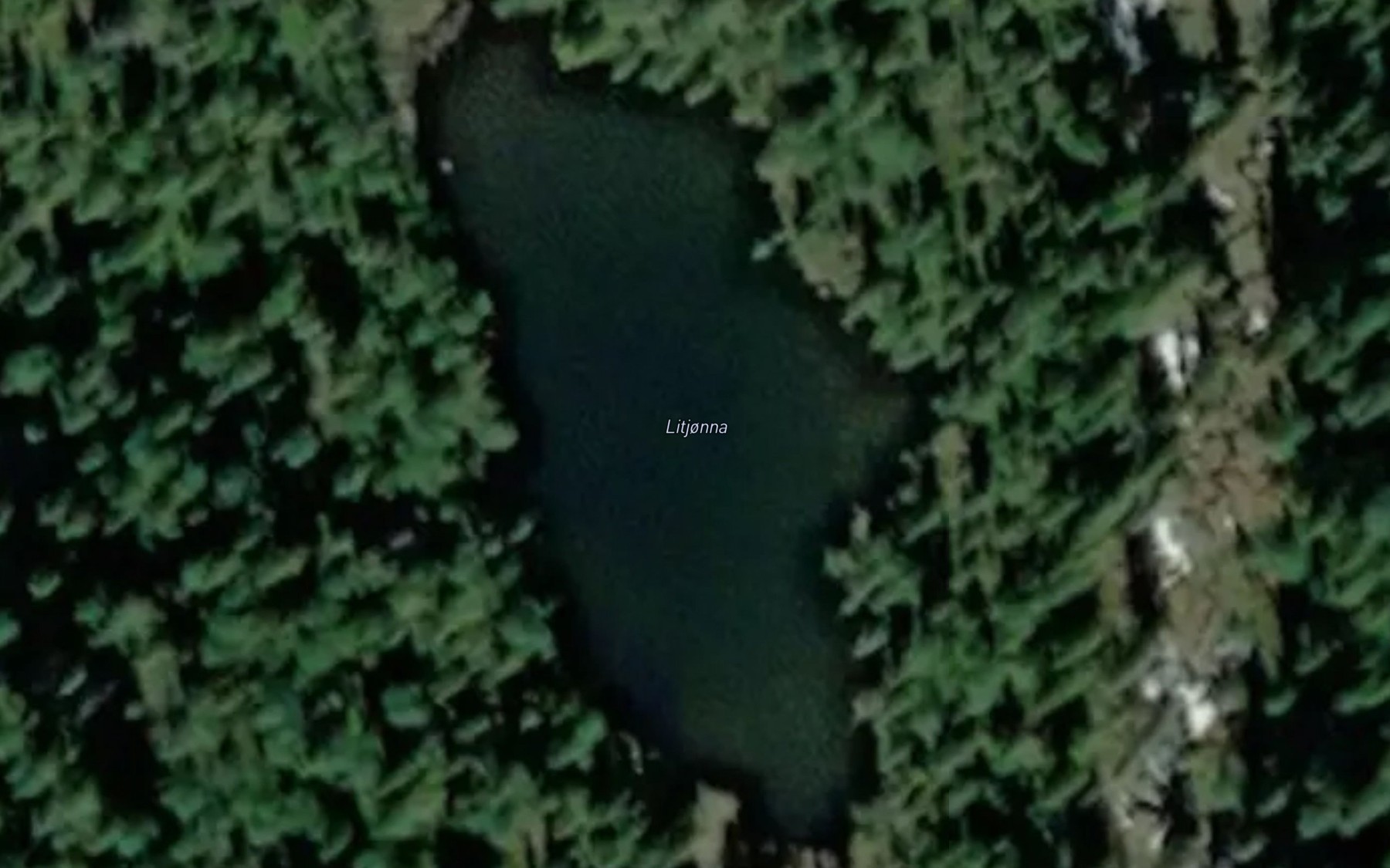 Satellite map of the Litjonna