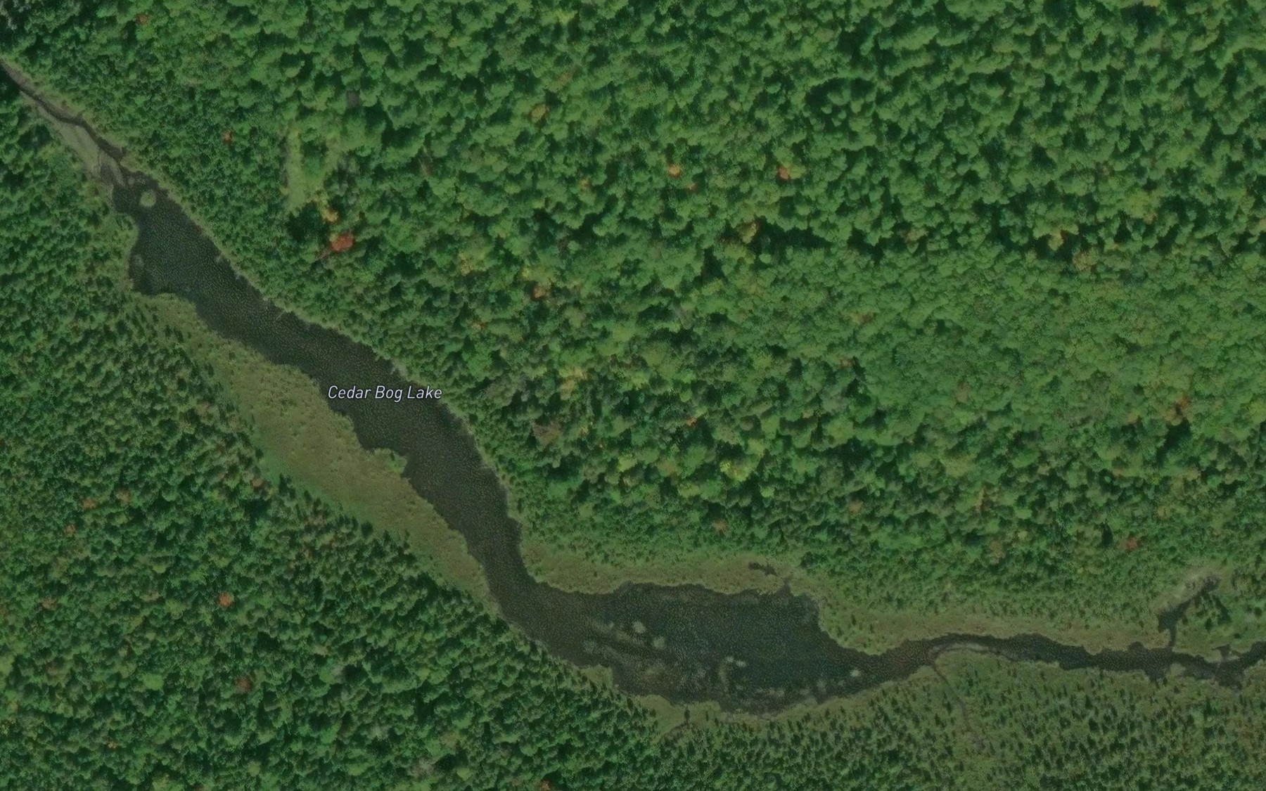 Satellite map of the Cedar Bog Lake