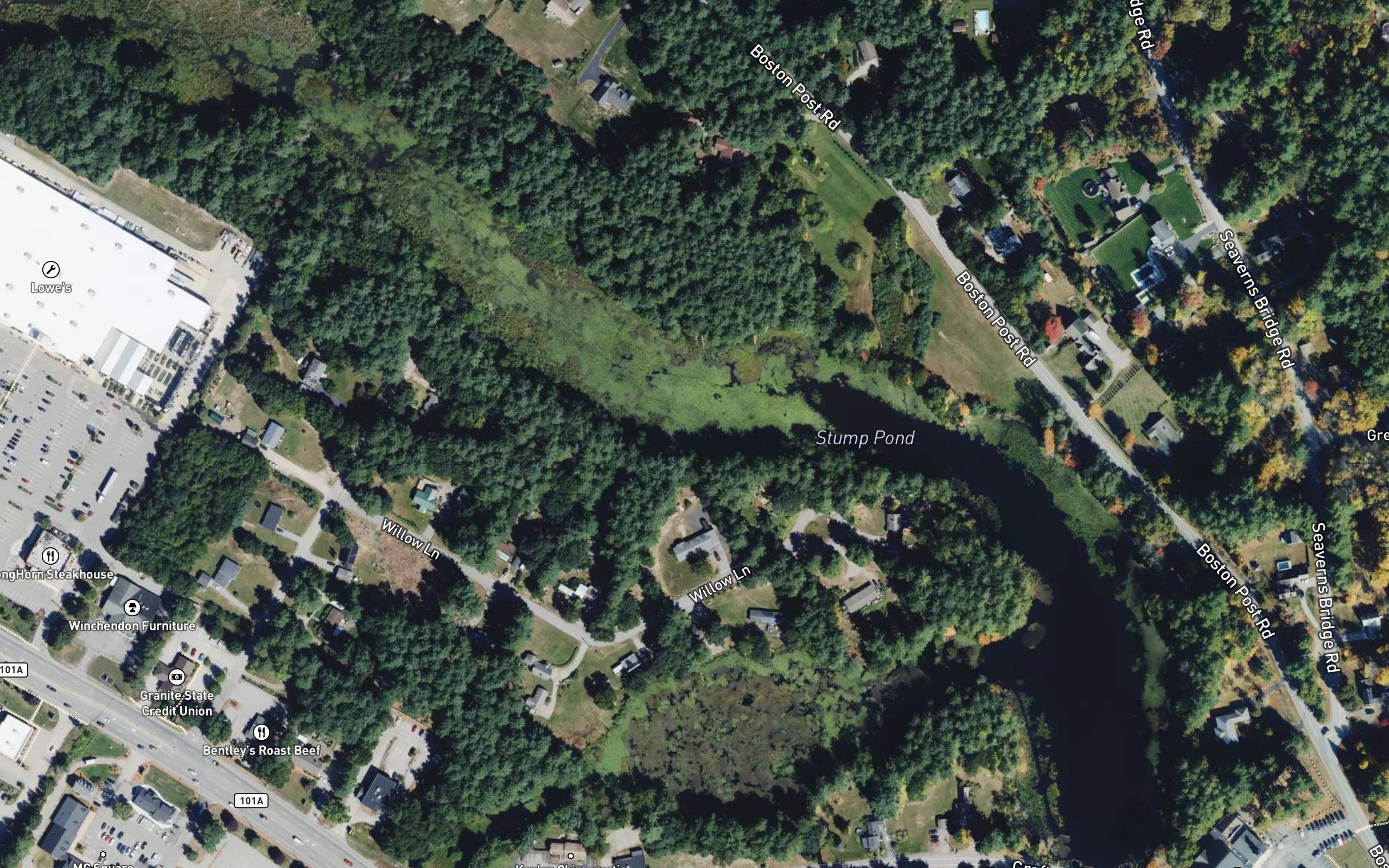 Stump Pond