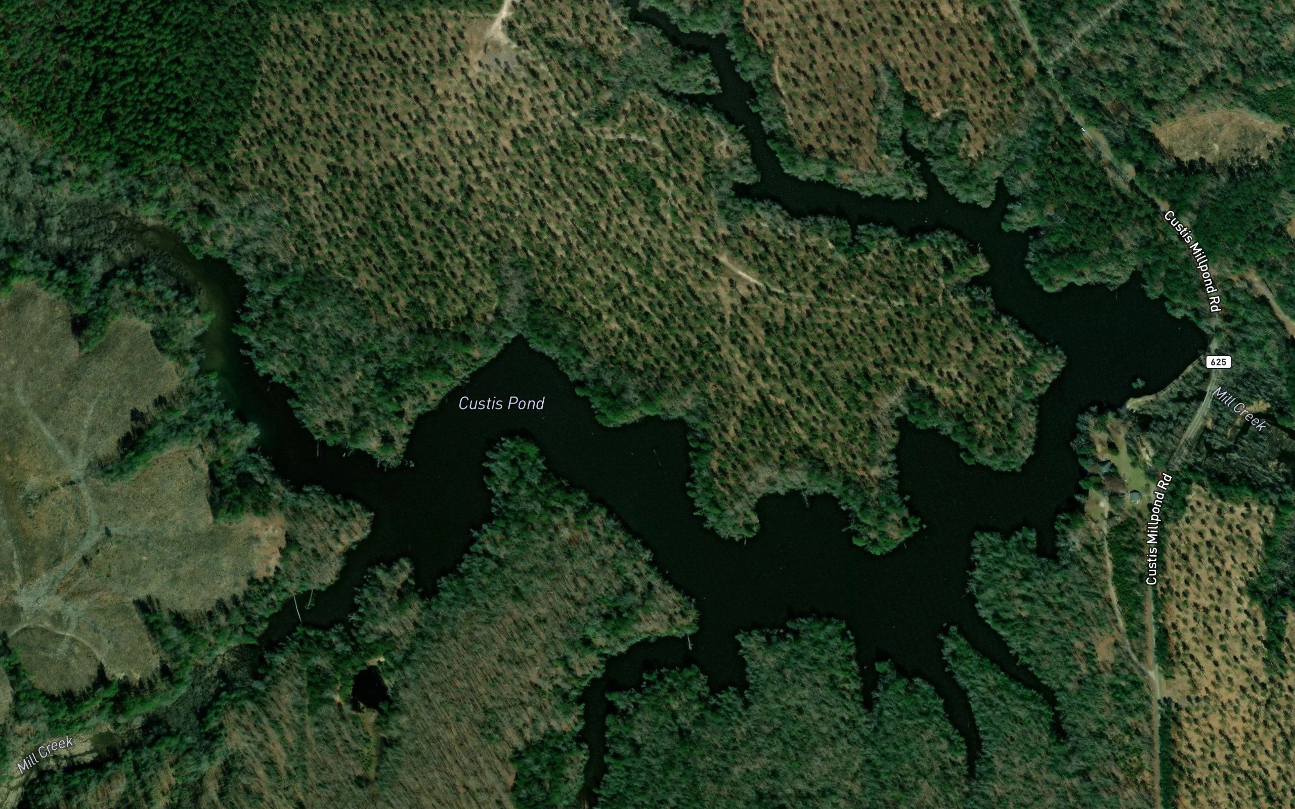 Custis Pond