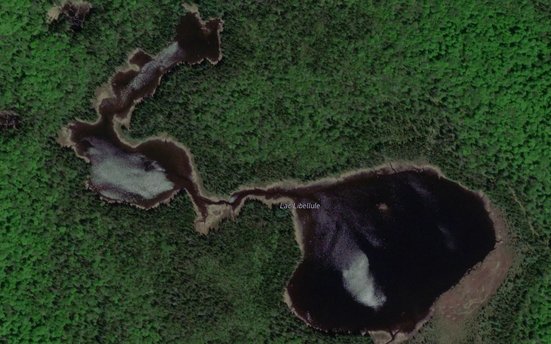 Satellite map of the Lac Libellule