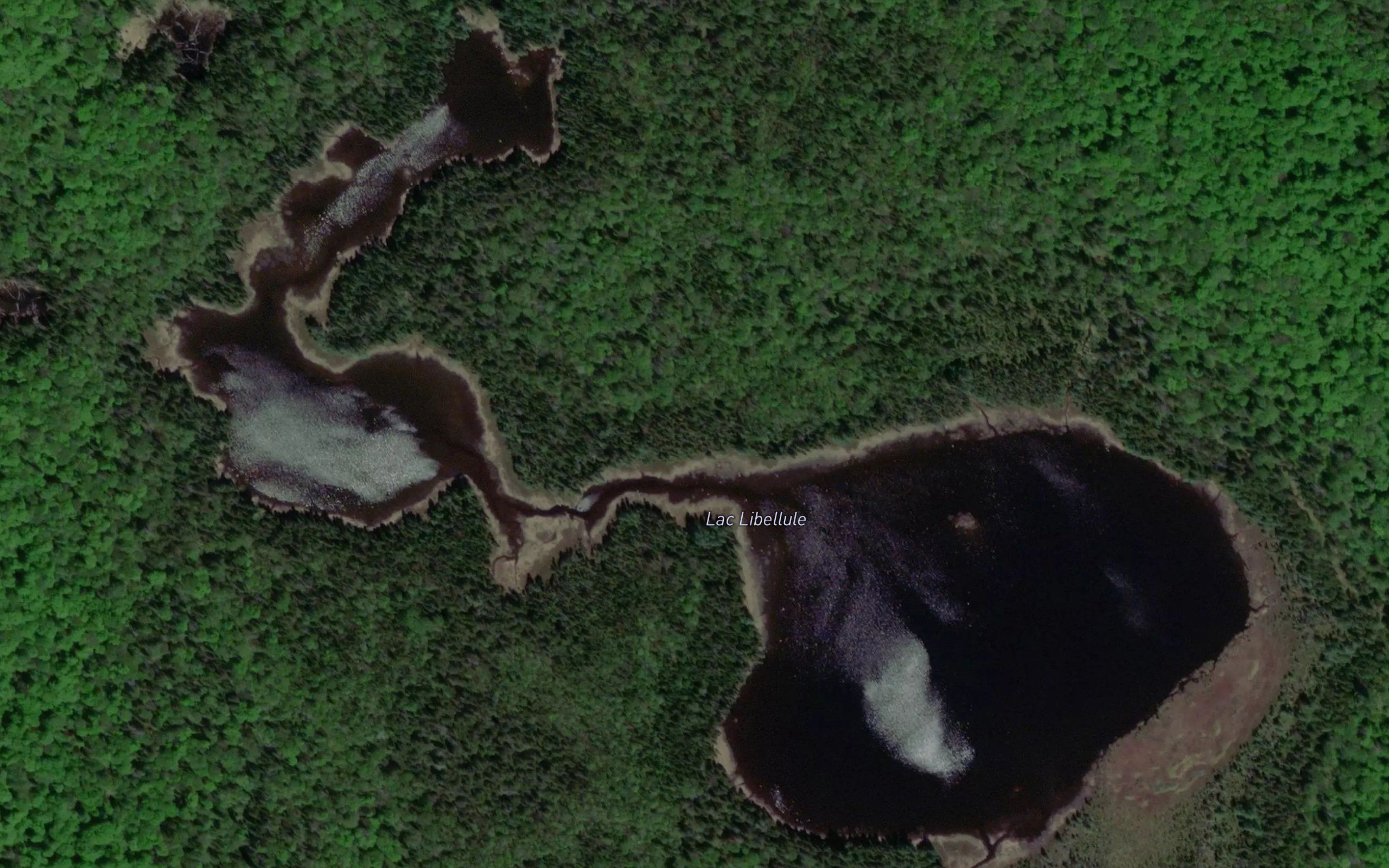 Lac Libellule