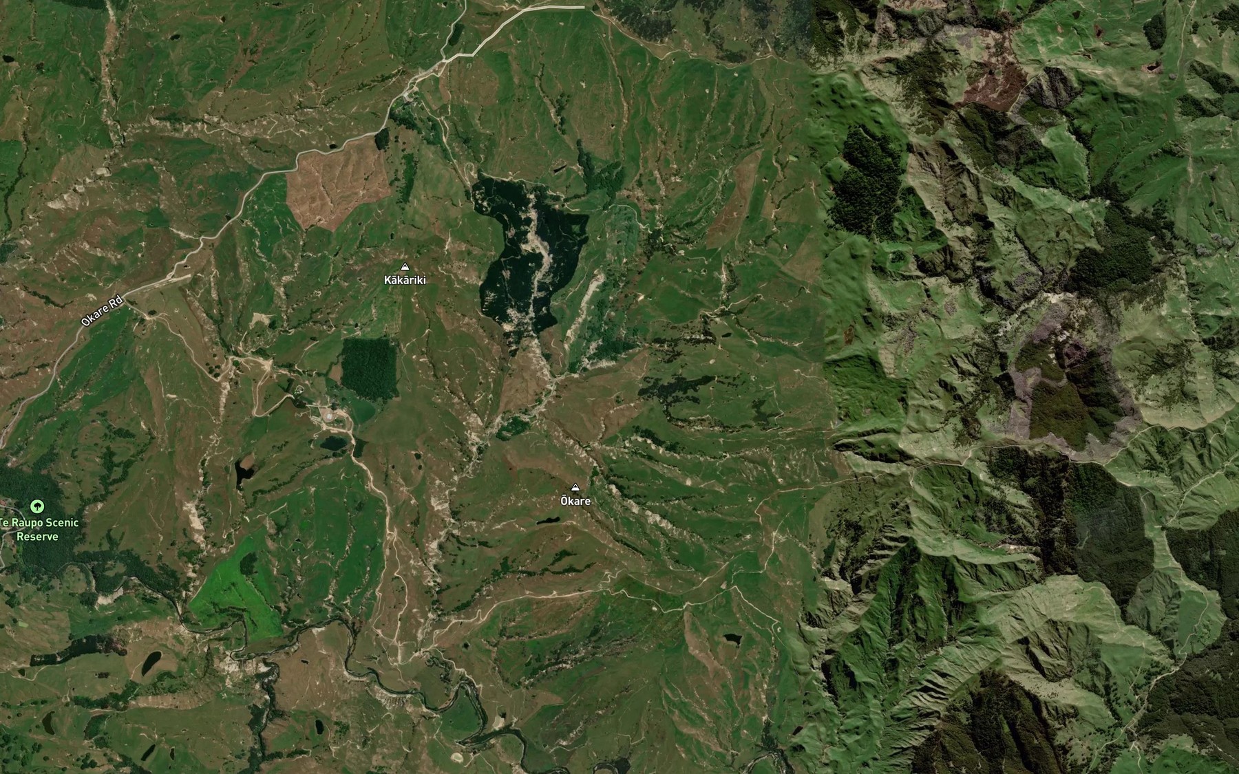 Satellite map of the Taranaki Creek