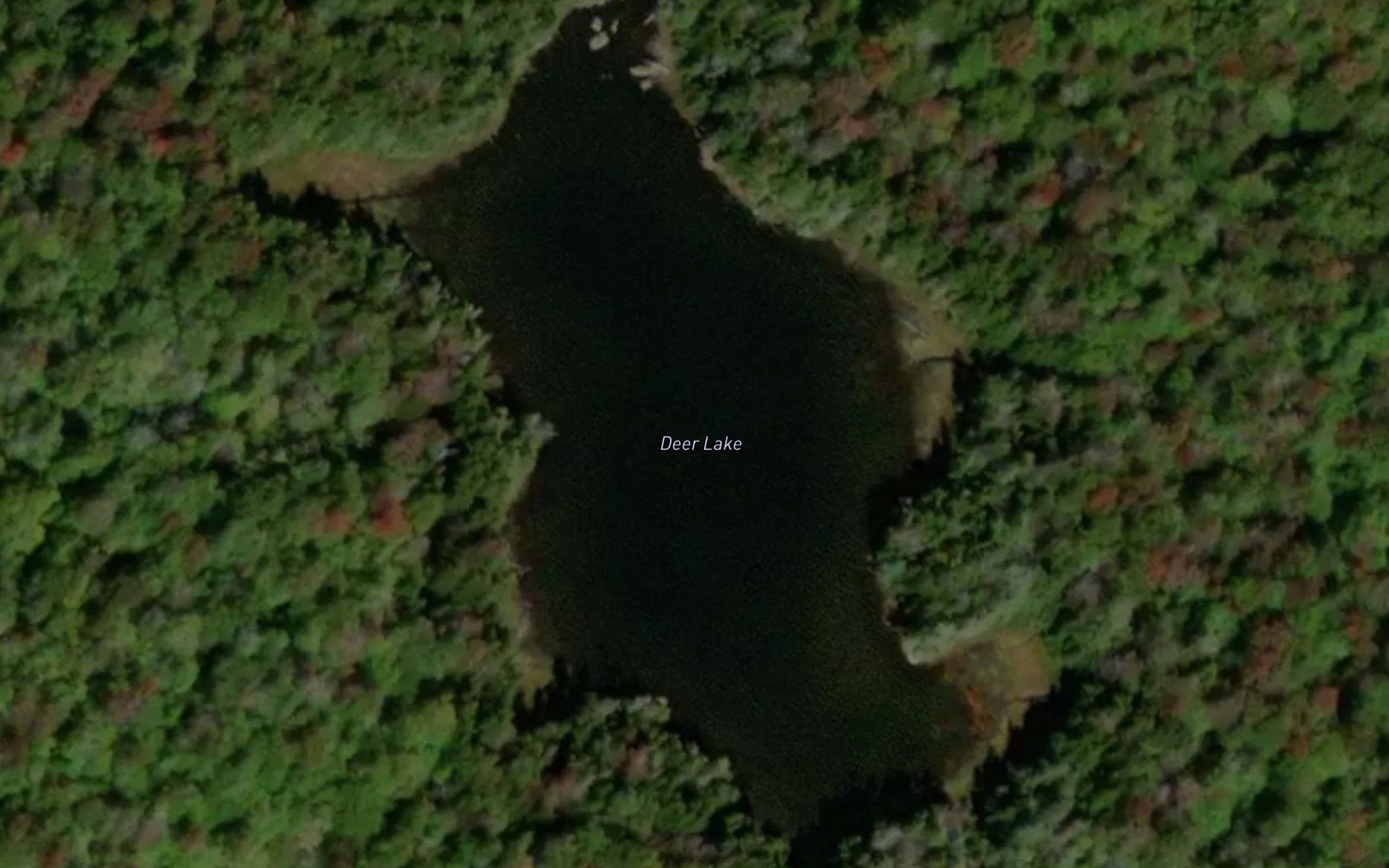 Deer Lake
