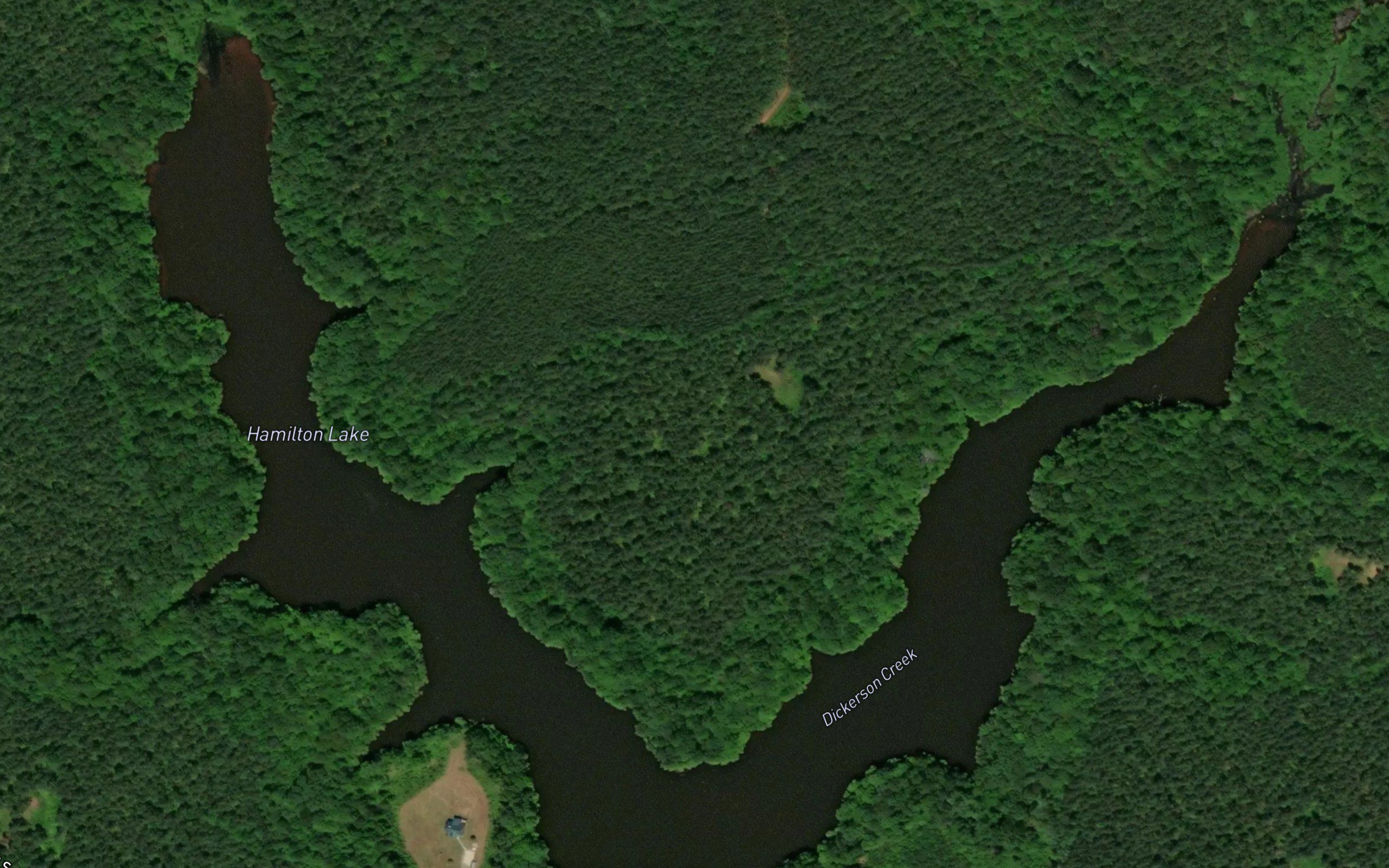 Hamilton Lake