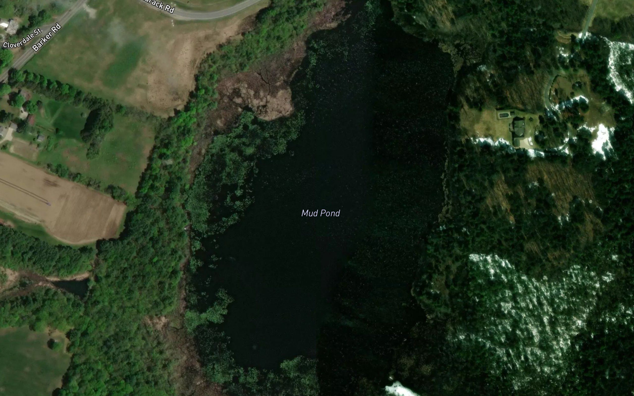 Mud Pond