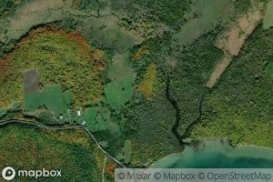 Robertson Creek