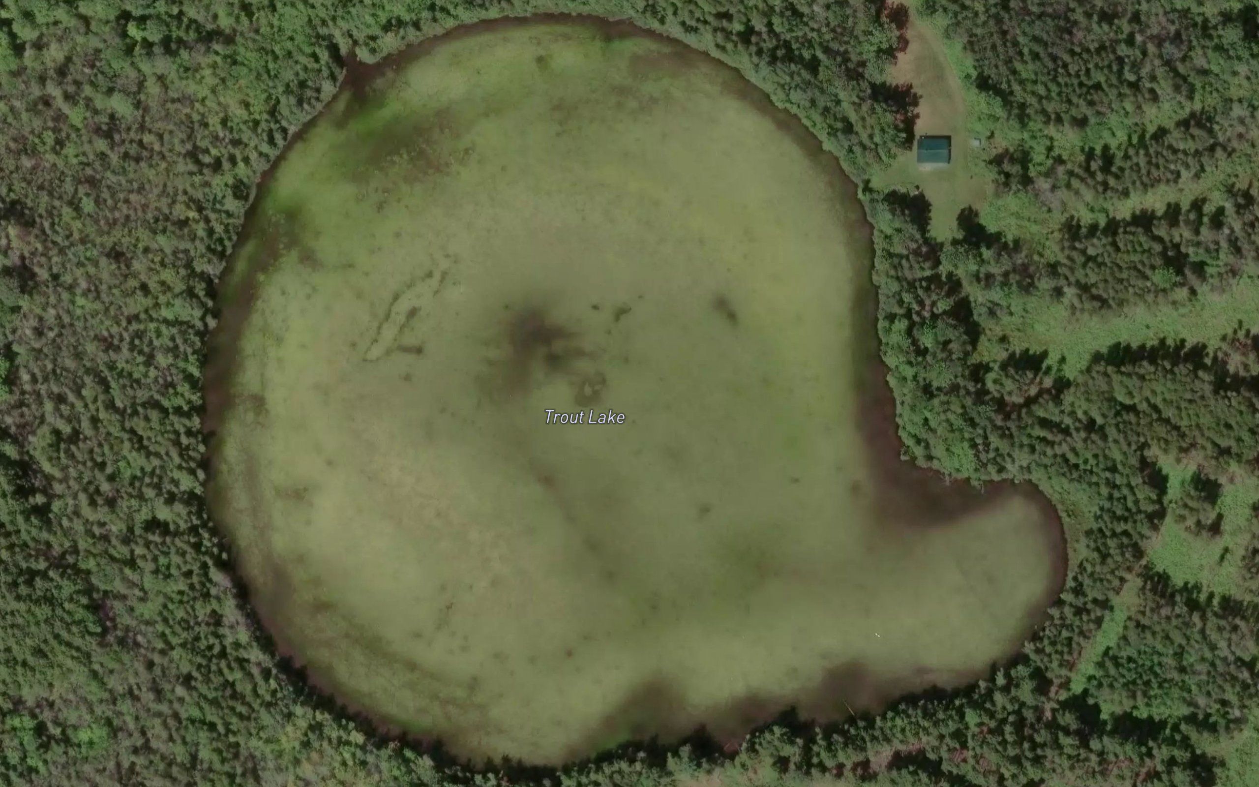 Trout Lake
