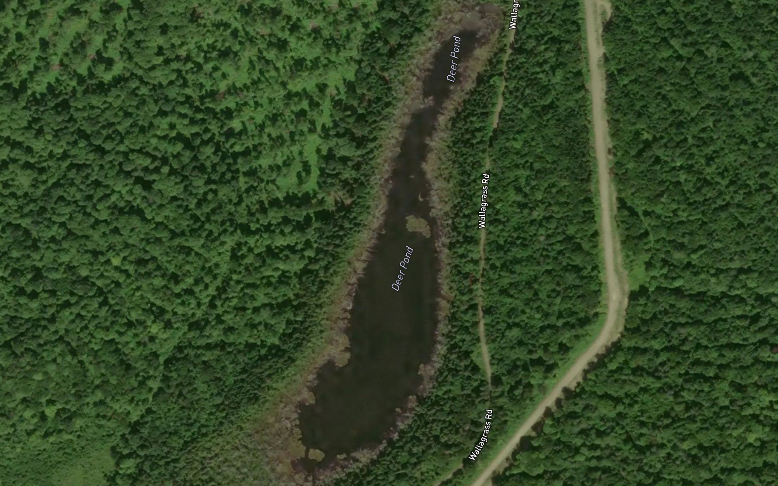 Deer Pond
