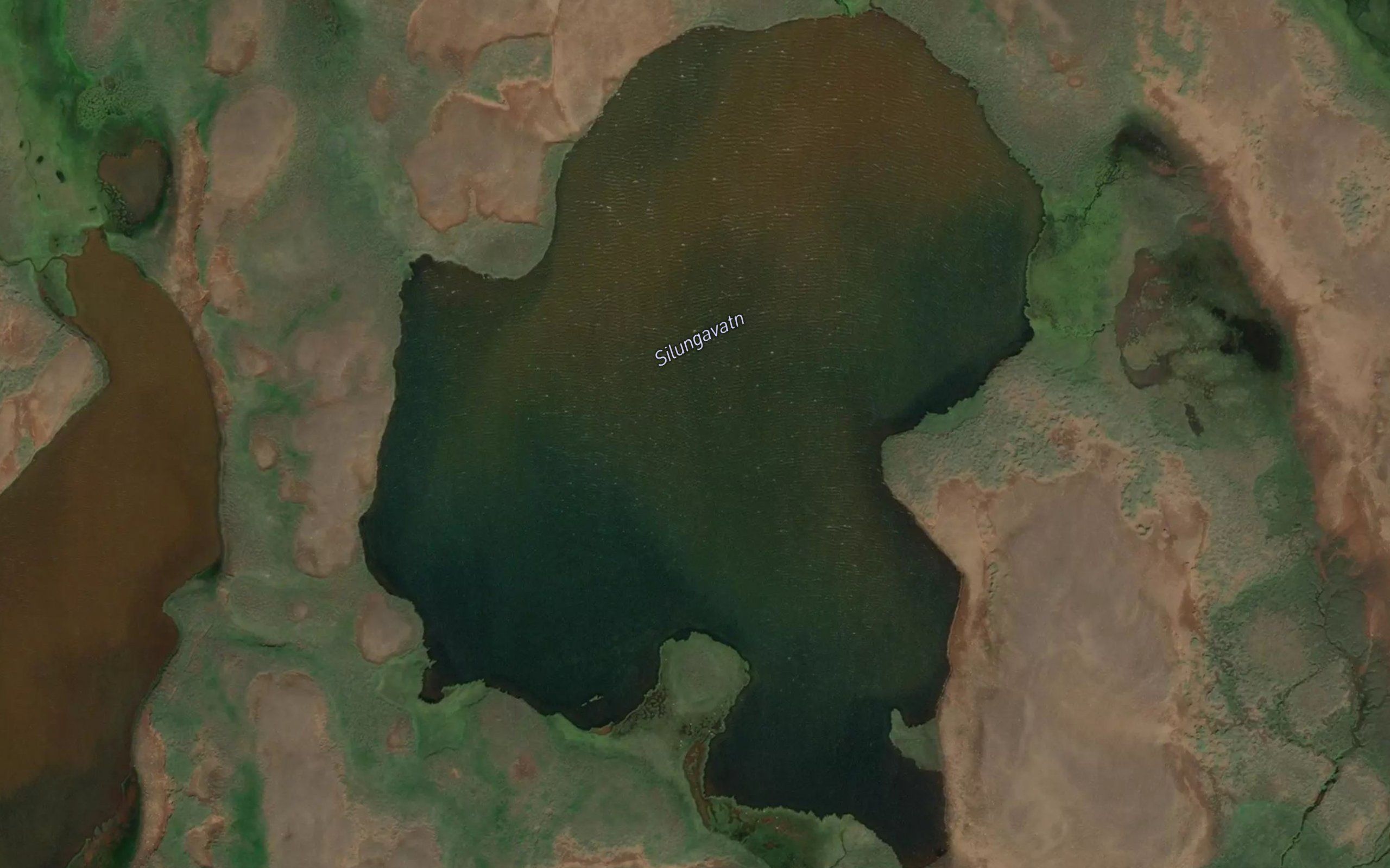 Silungavatn
