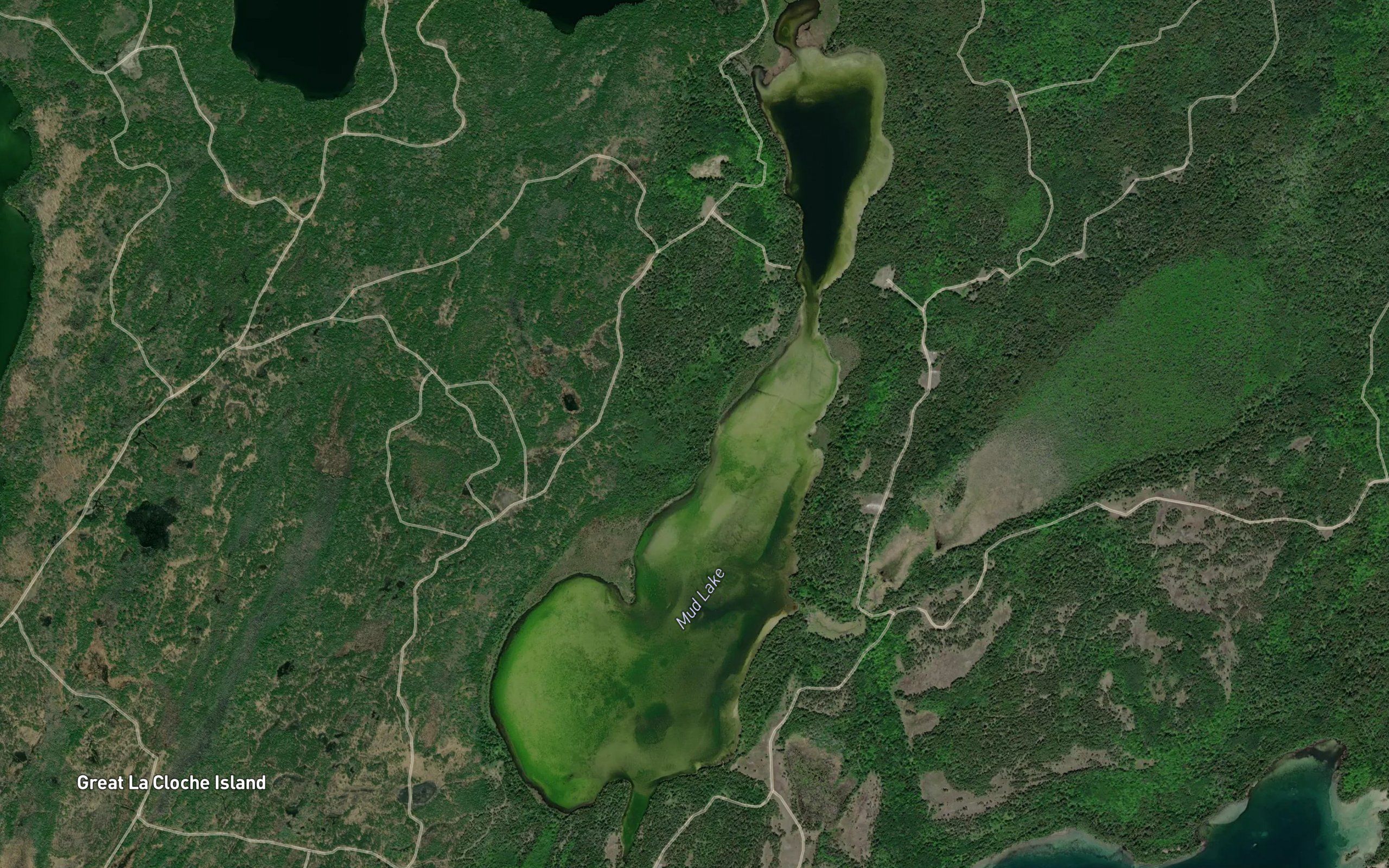 Mud Lake