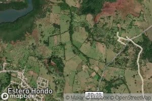 Canada Las Cortaderas