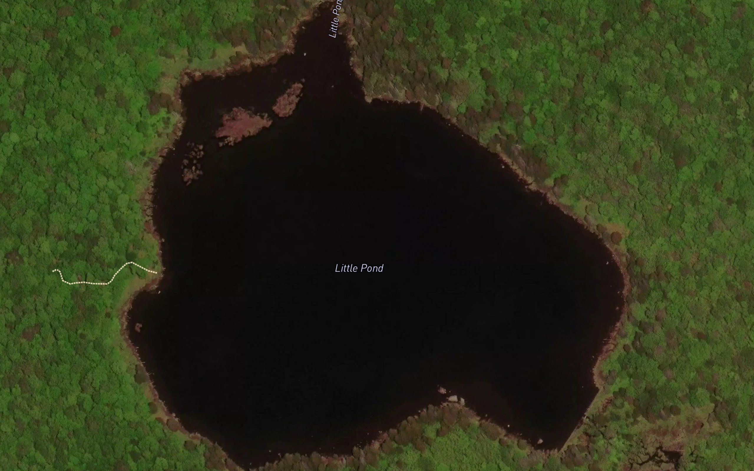 Little Pond