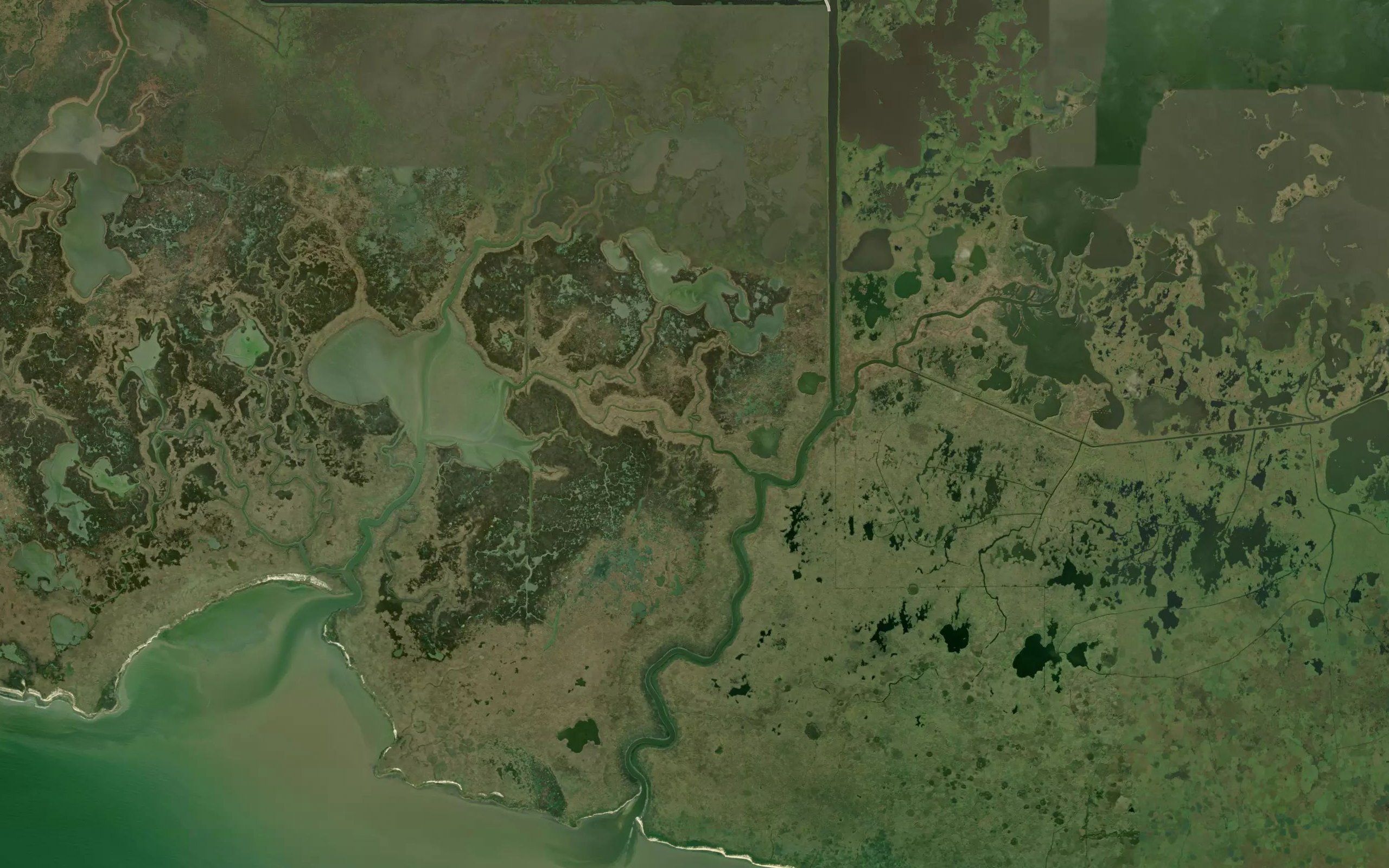 Parra Bayou