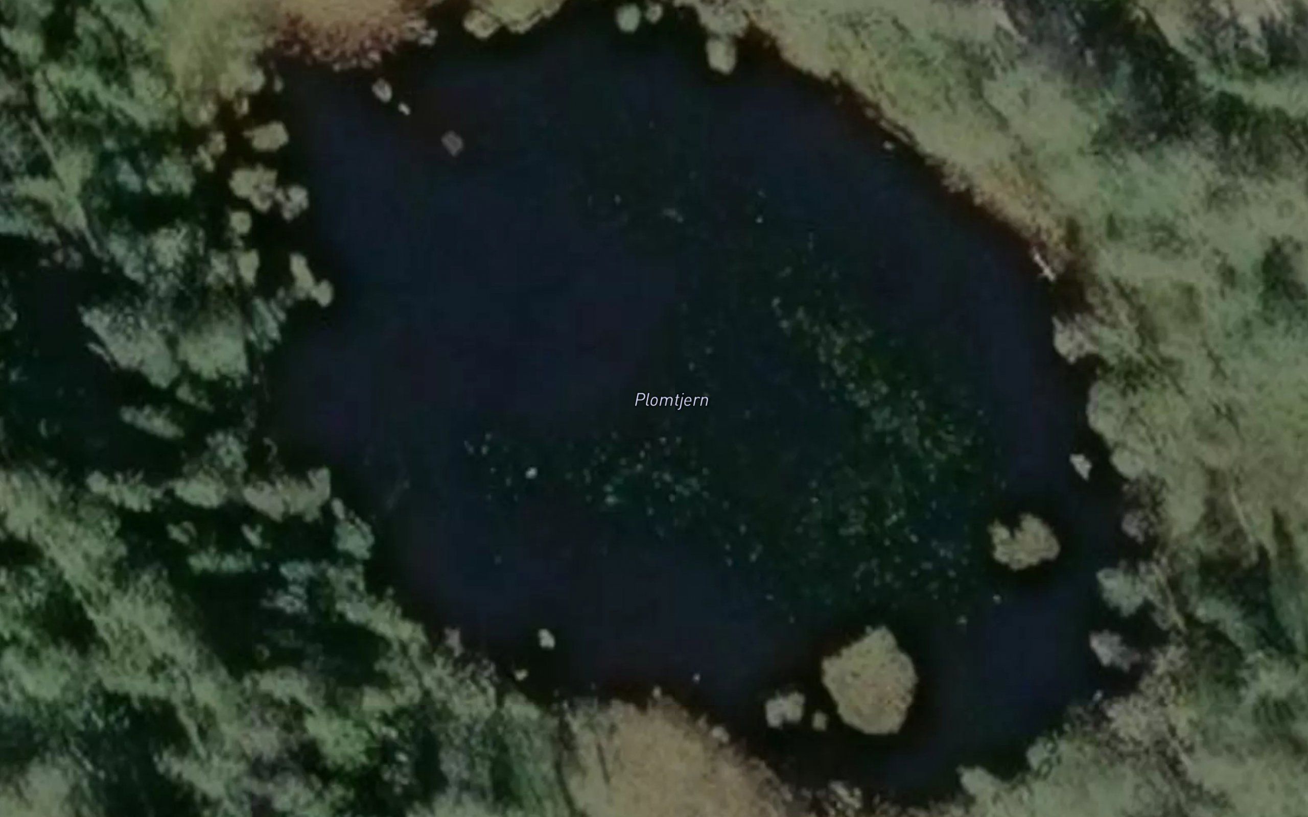 Plomtjenn