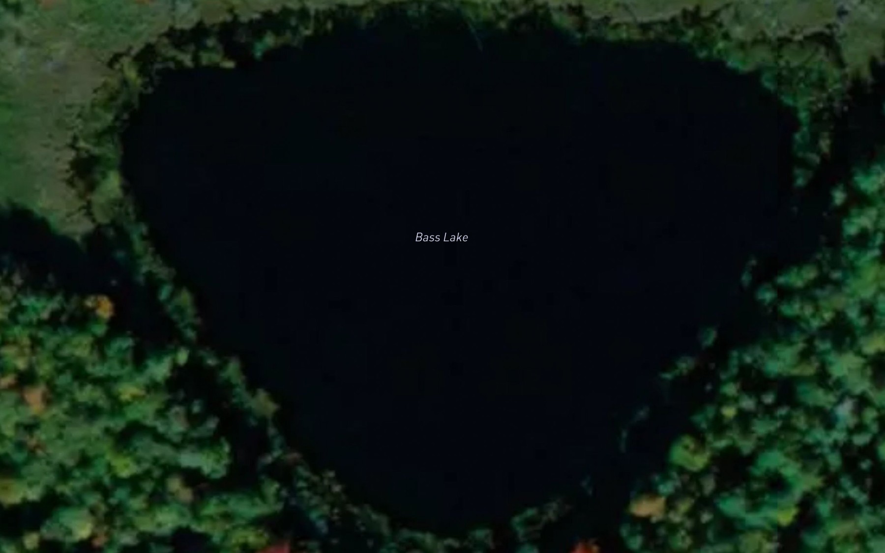 Satellite map of the Bass Lake
