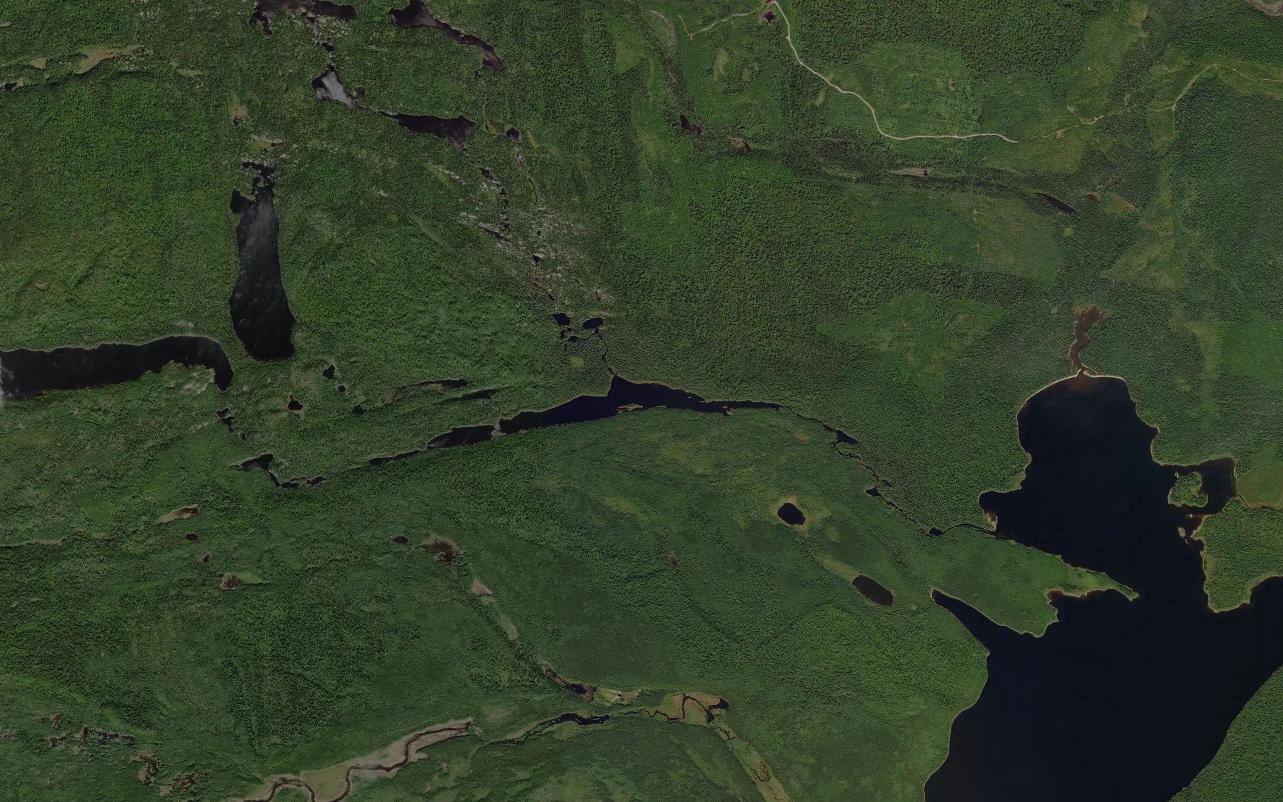 Royer Lake
