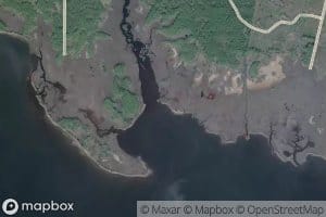Doyle Bayou