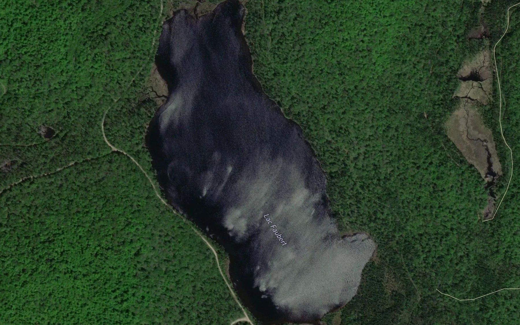 Satellite map of the Lac Faubert