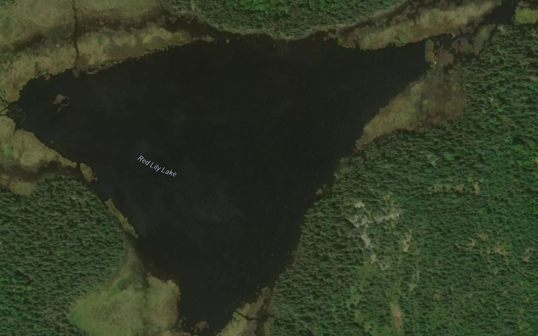 Satellite map of the Red Lily Lake