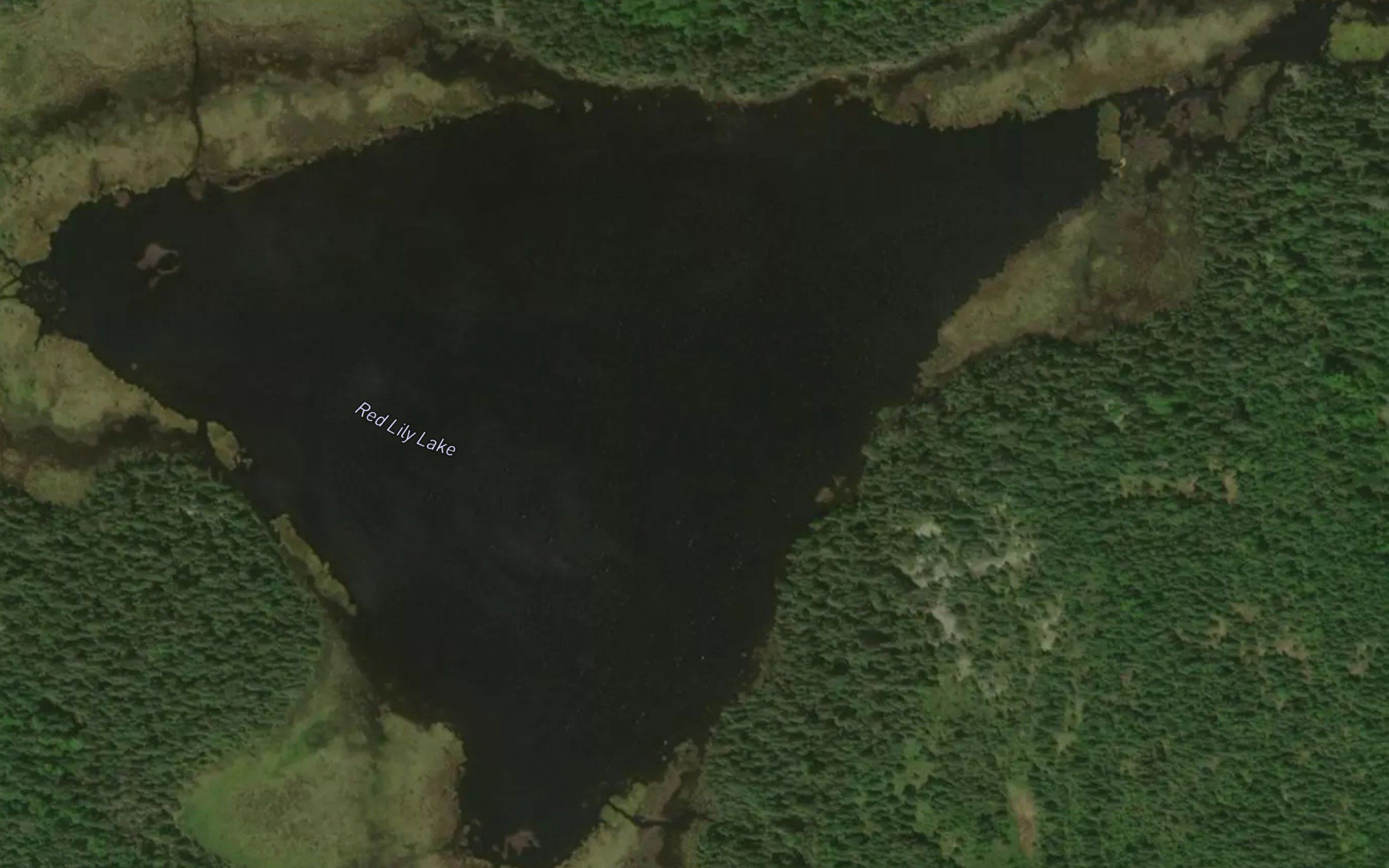Red Lily Lake