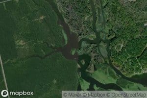 North Fork Cowikee Creek