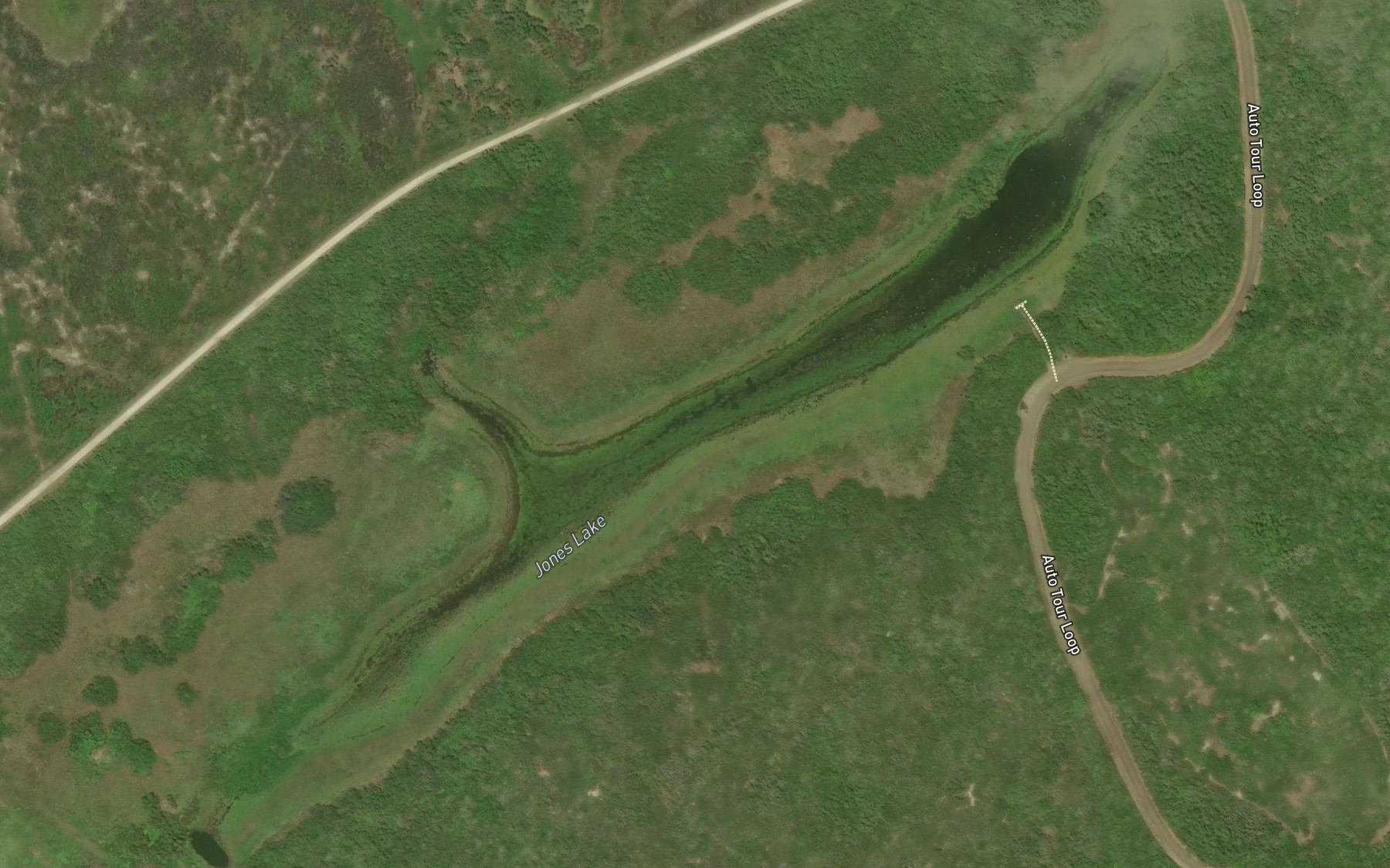 Satellite map of the Jones Lake