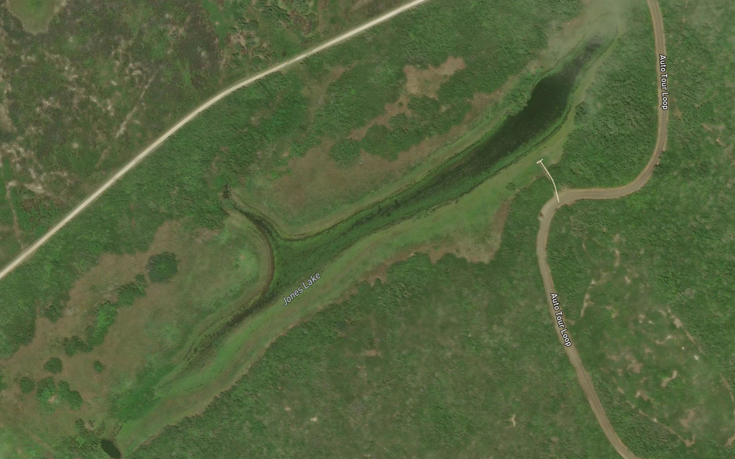 Jones Lake