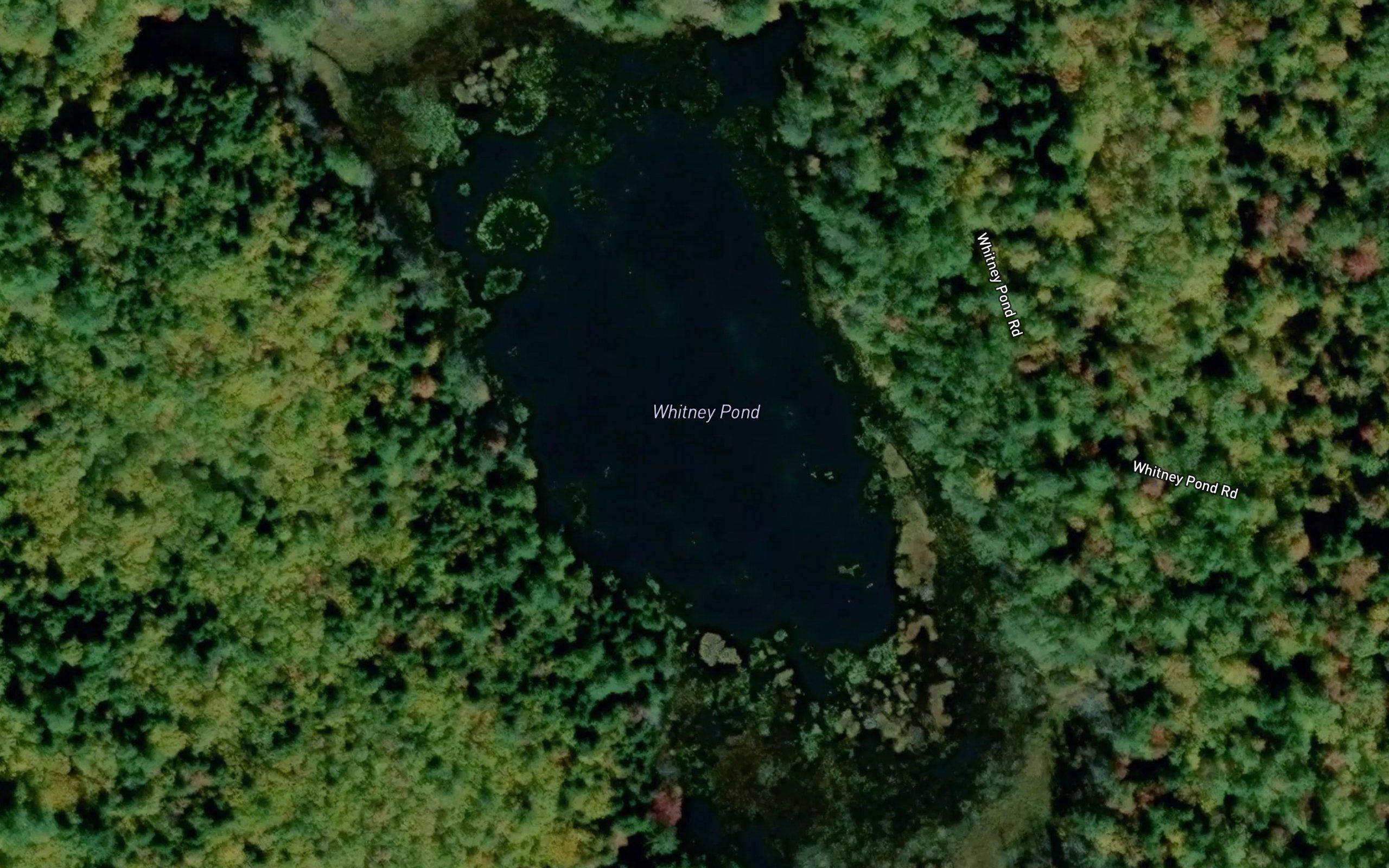 Whitney Pond